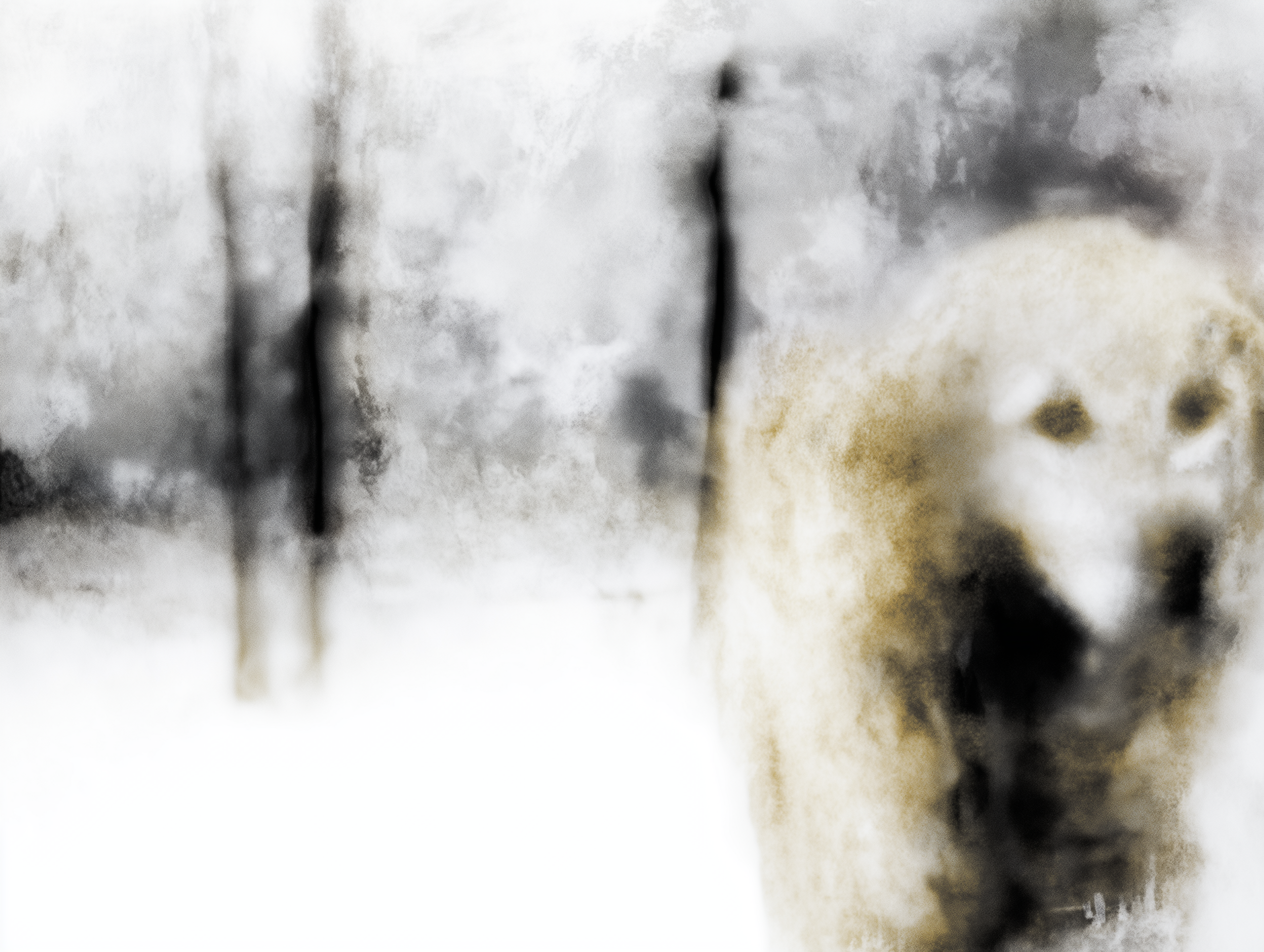 Artwork — golden retriever abstract surreal abstract painting 01