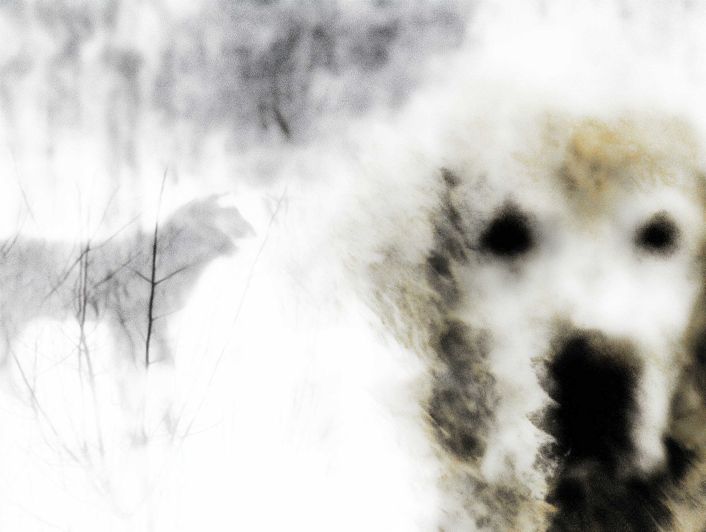 Artwork — golden retriever abstract surreal abstract painting 03