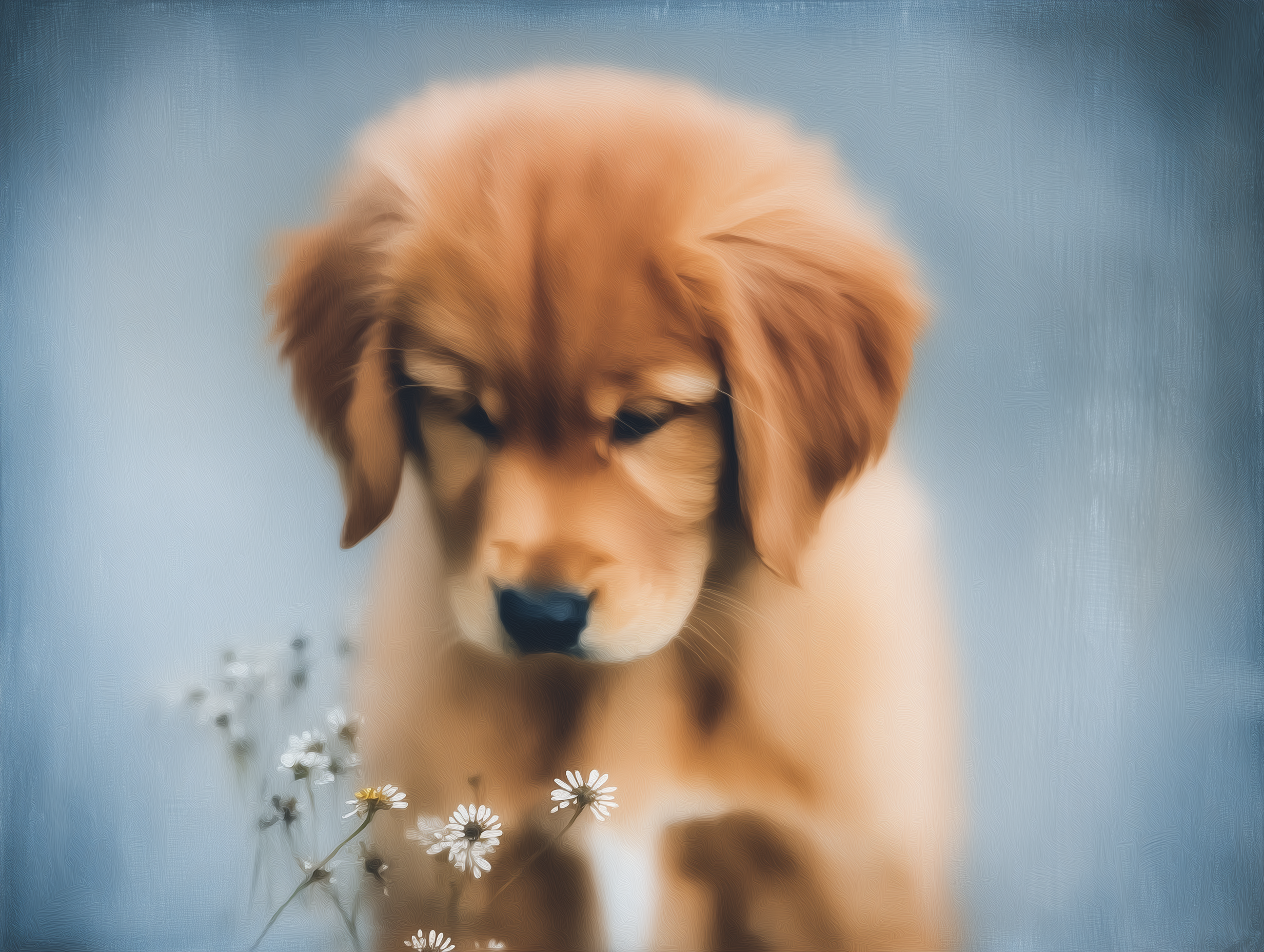The Soft Landing: Preparing Your Home for a Just Behaving Puppy