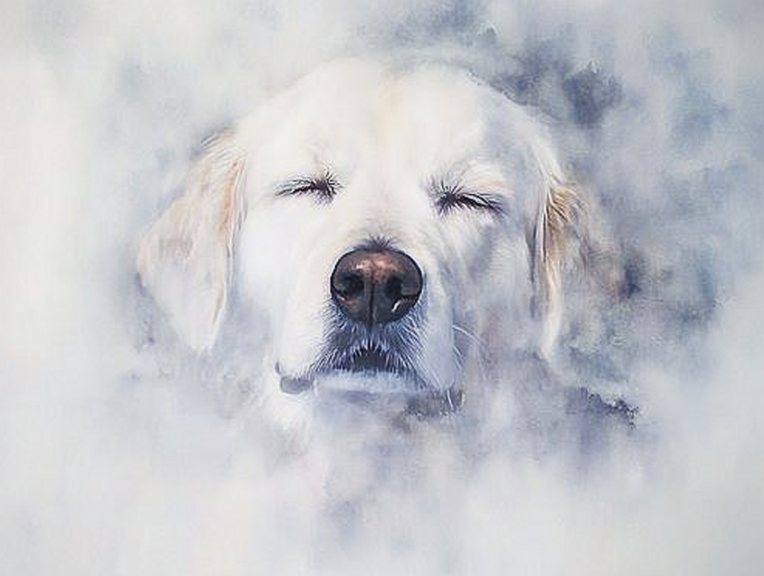 Artwork — golden retriever portrait dreamy minimalist watercolor 02