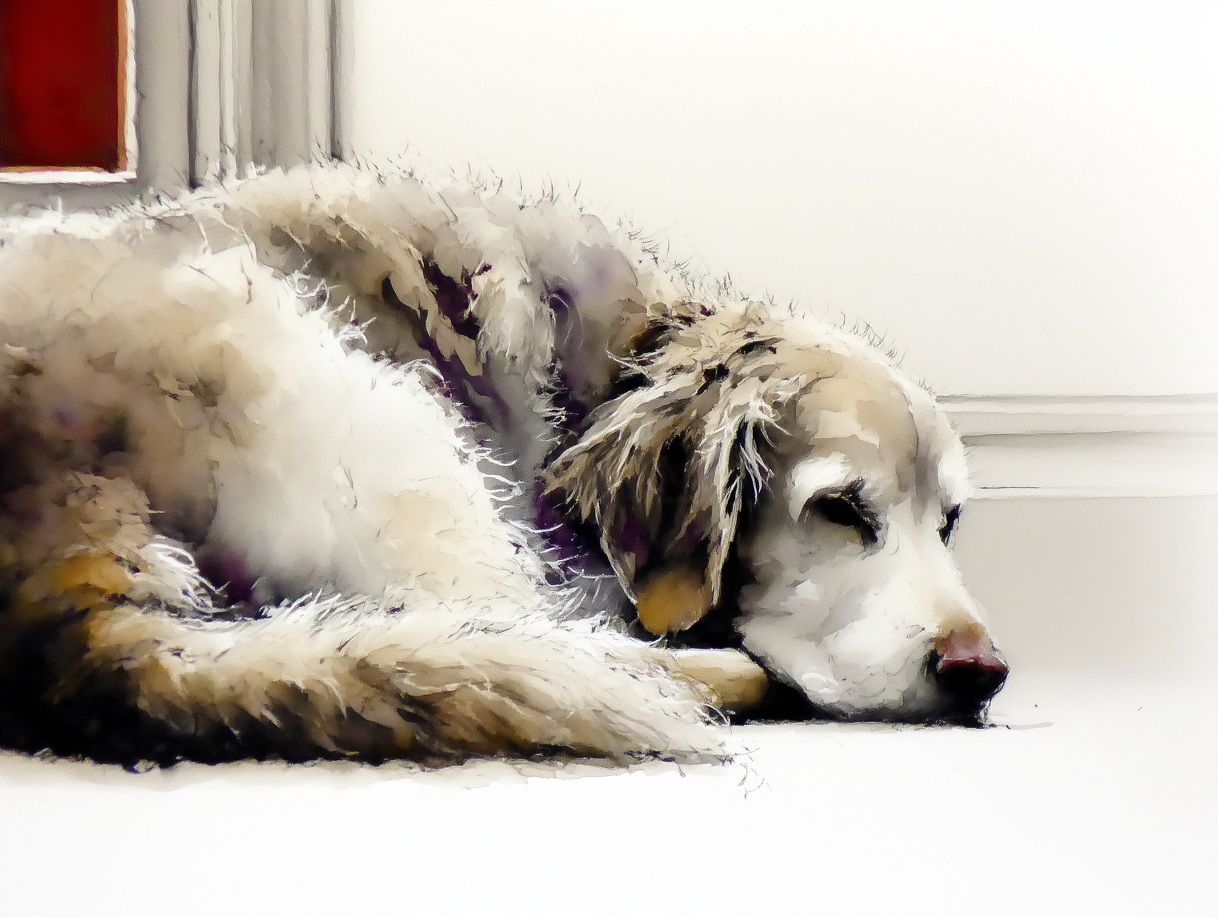 Artwork — golden retriever portrait gentle watercolor 06