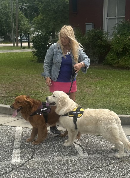 Our Dogs — 1cc4174d 1b0d 47af 99b0 aafdeb6f8690