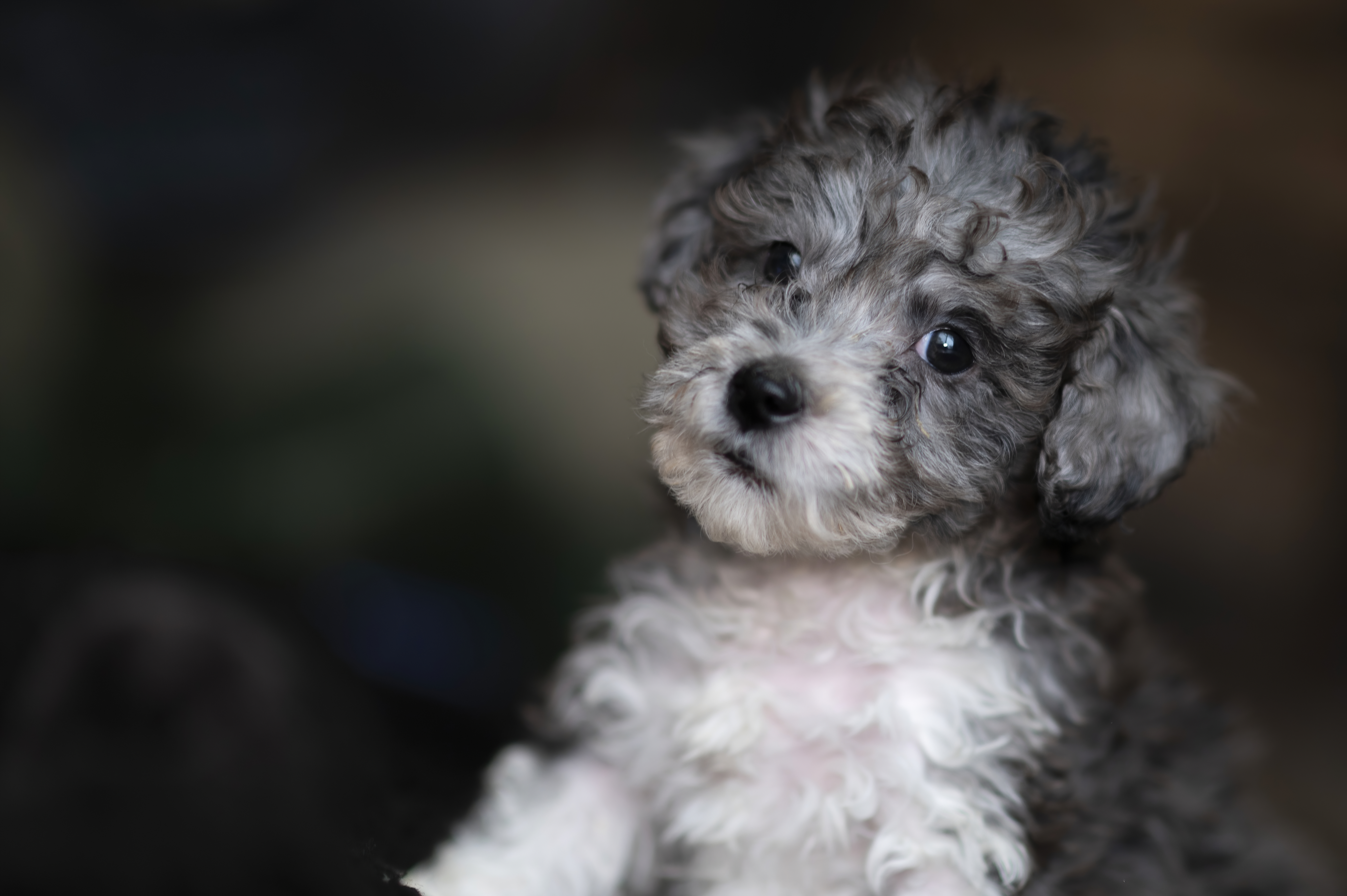 Lifestyle — DoodsDarls0025 f