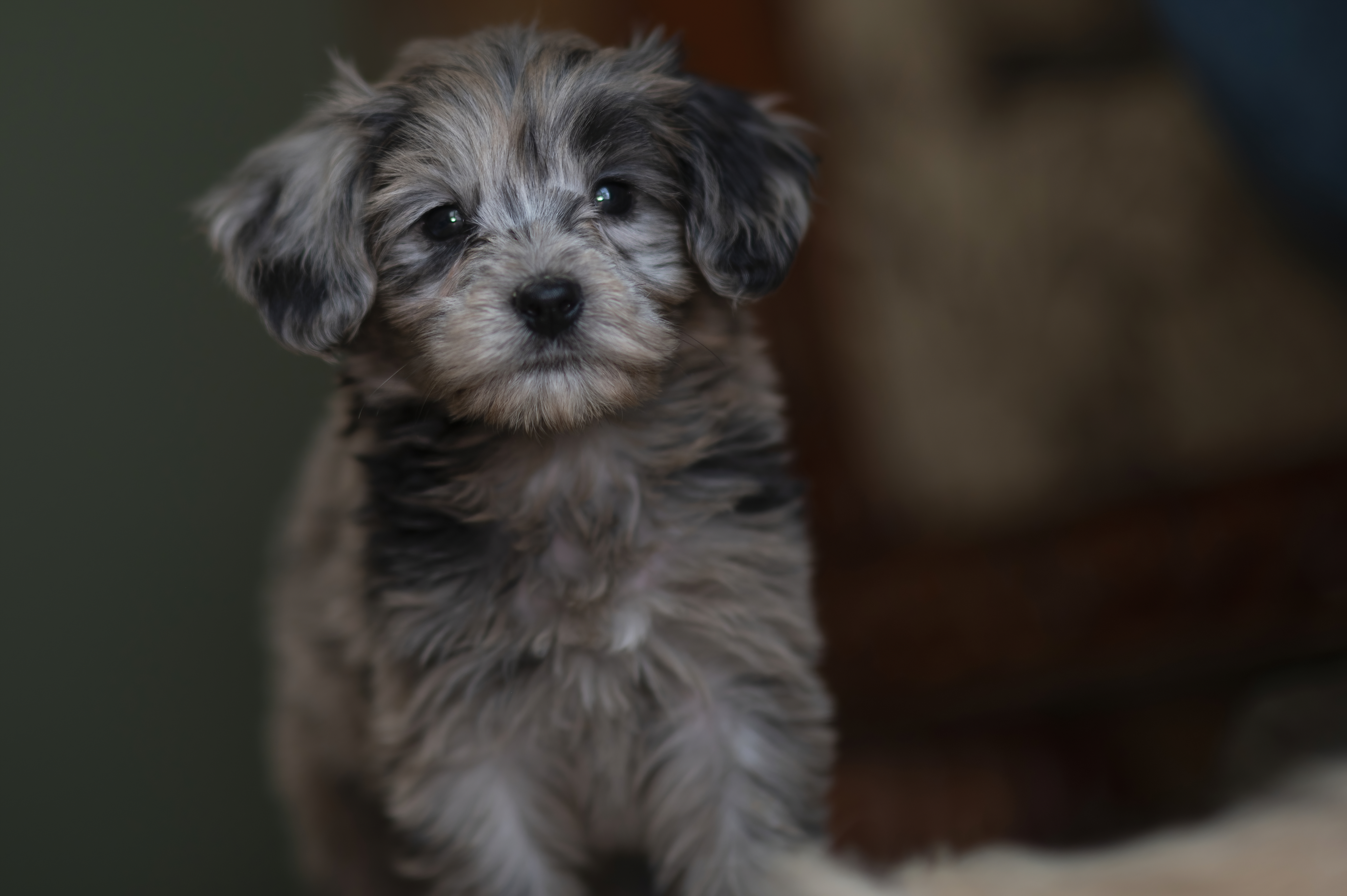 Lifestyle — DoodsDarls0082 f