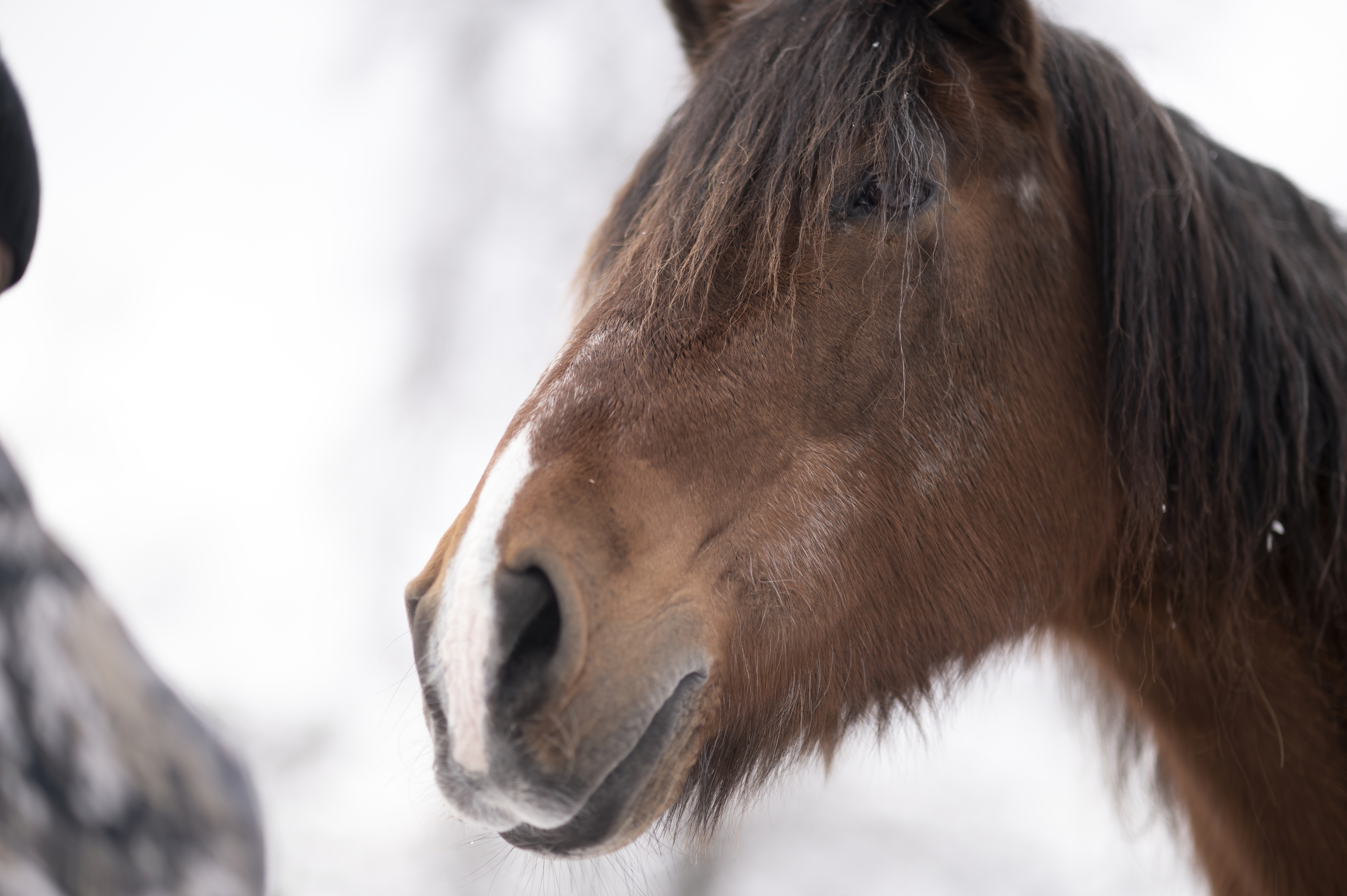 Lifestyle — DoodsDarls0353 f