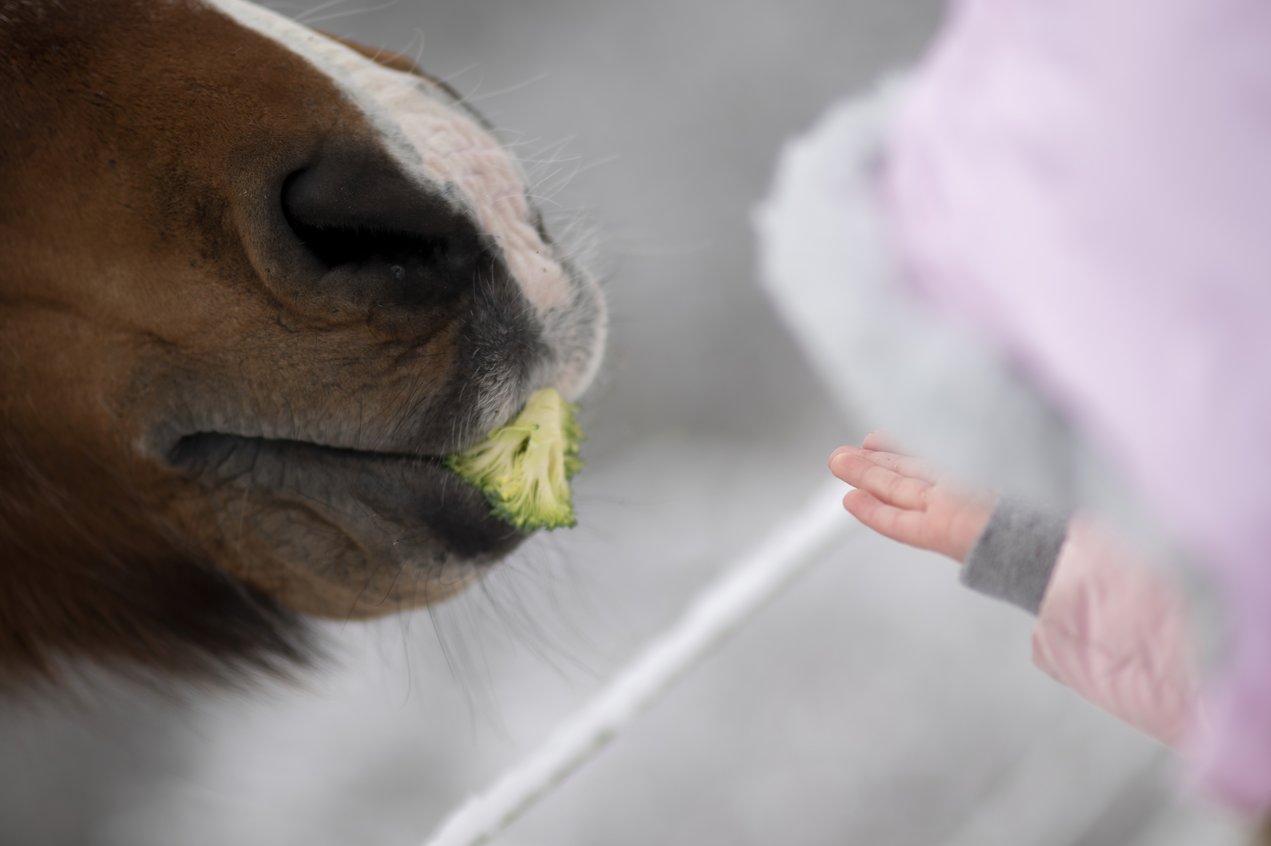 Lifestyle — DoodsDarls0399 f