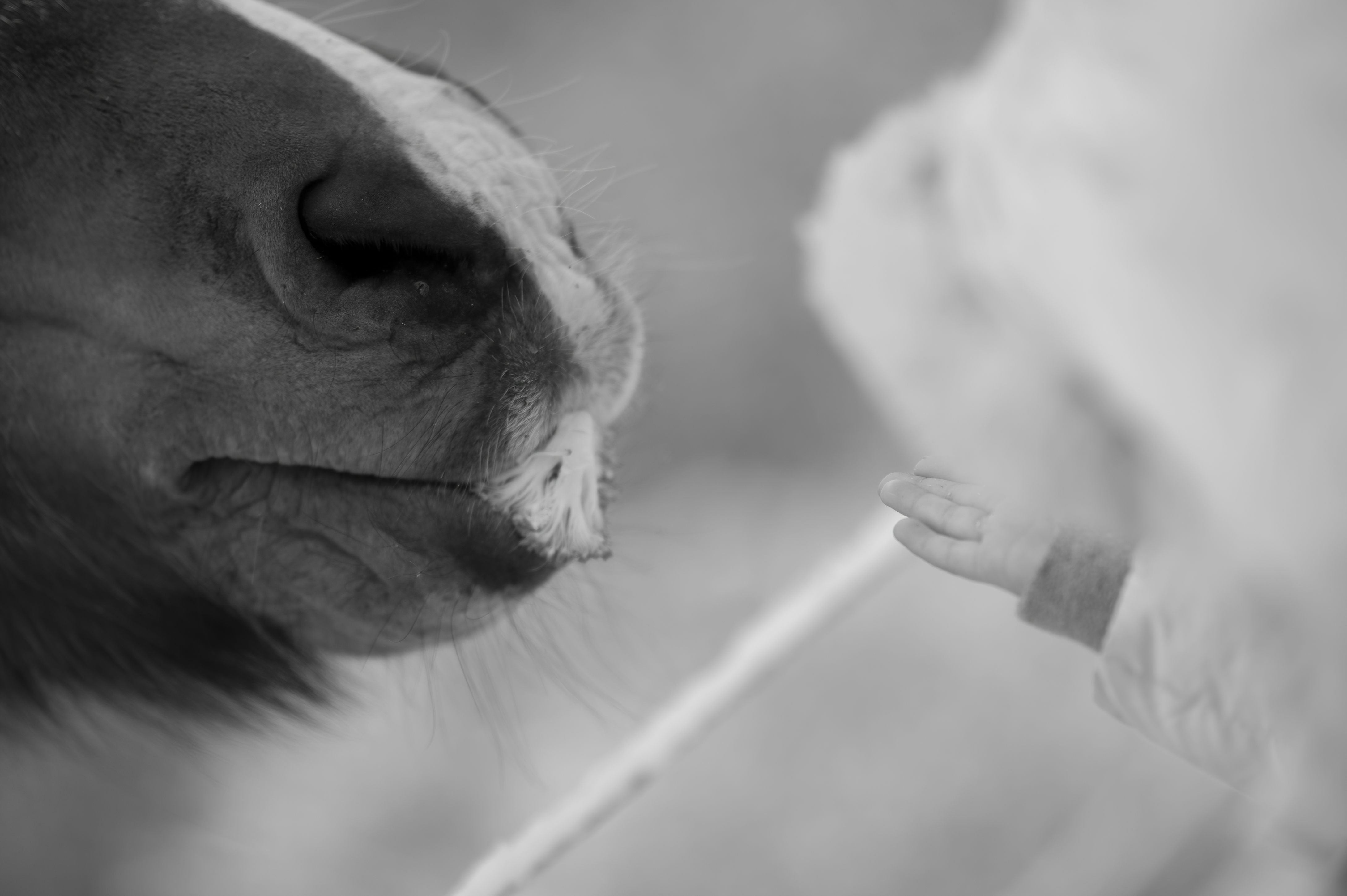 Lifestyle — DoodsDarls0399 1 f