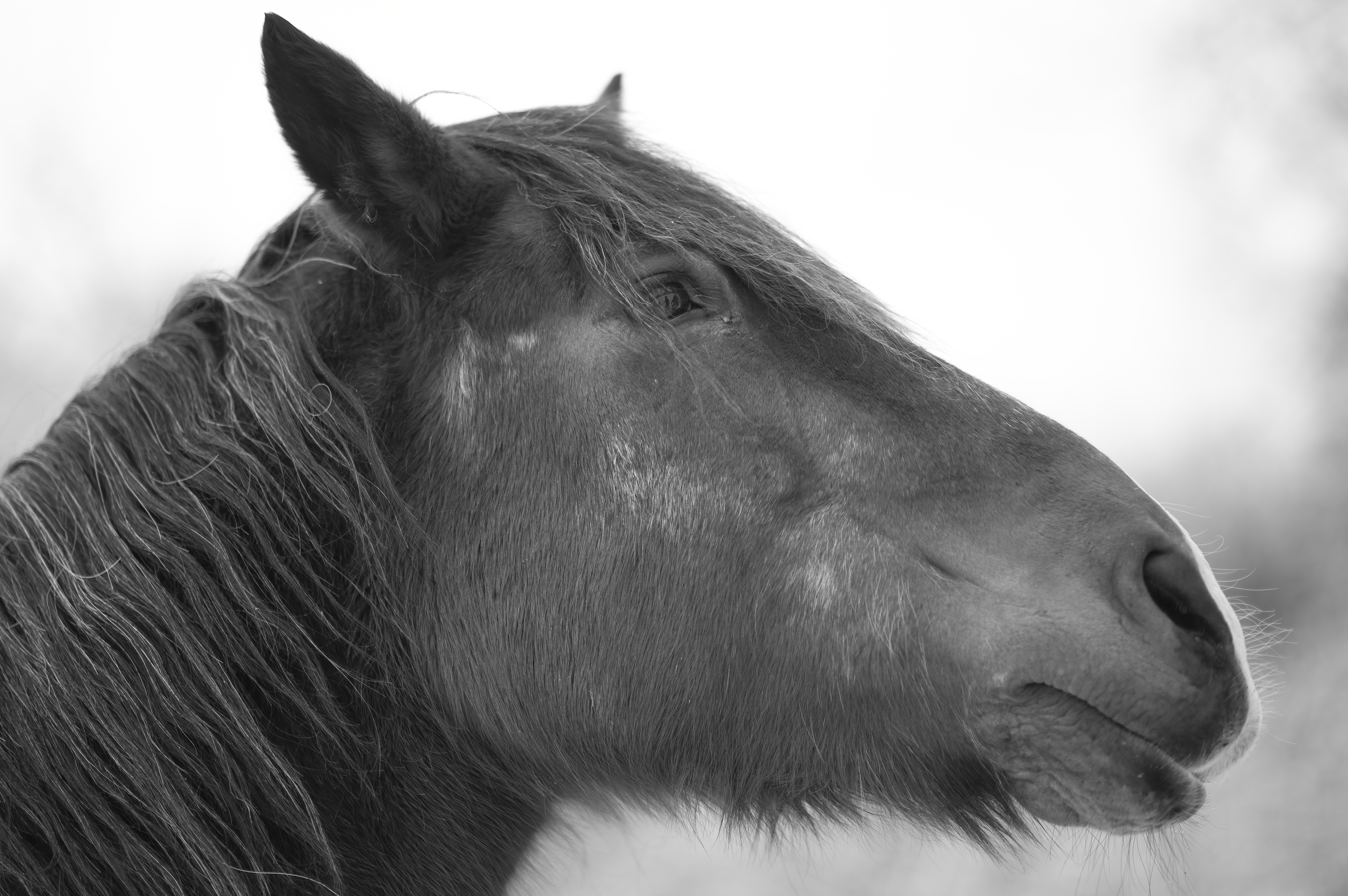 Lifestyle — DoodsDarls0447 f