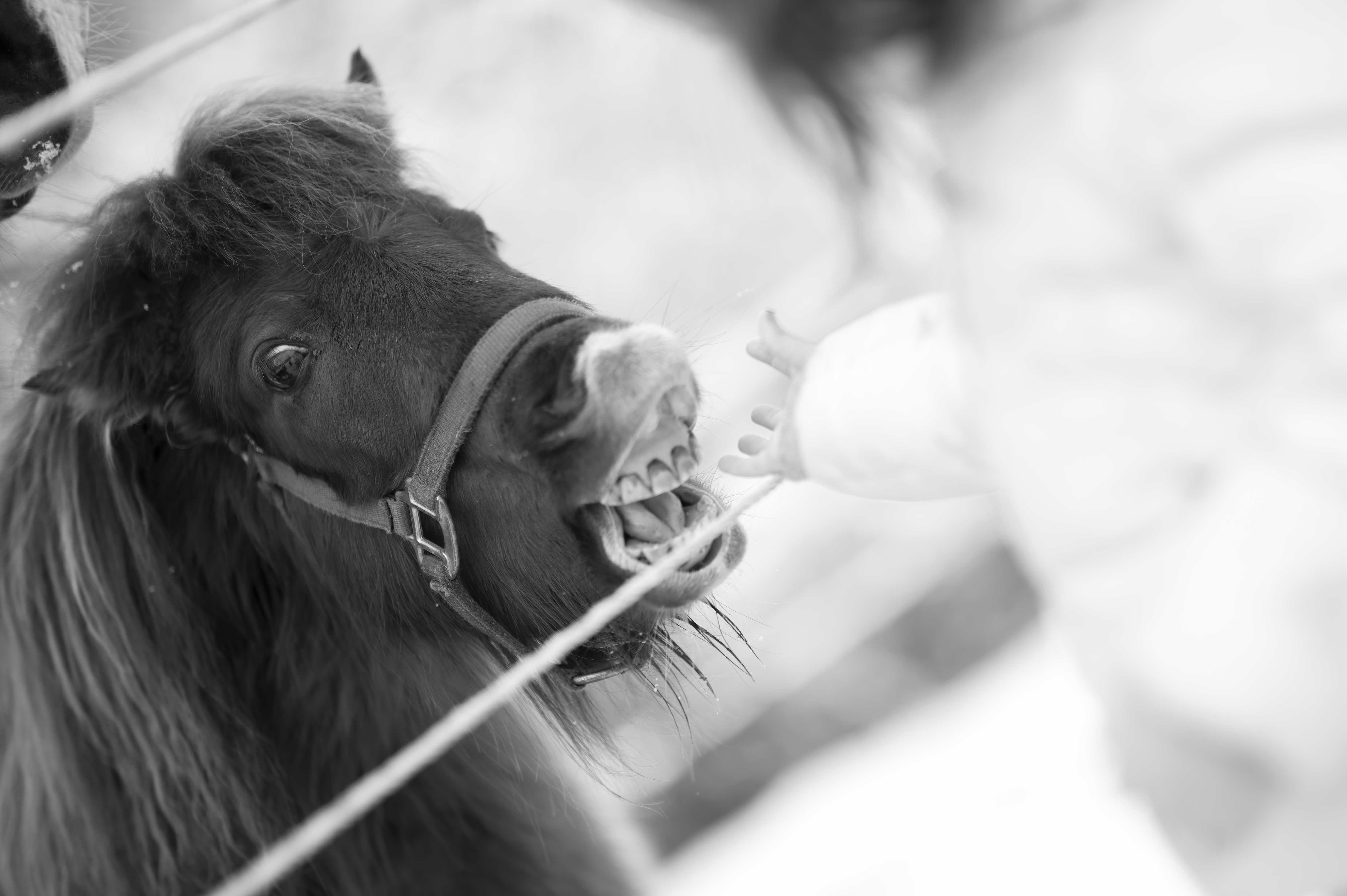 Lifestyle — DoodsDarls0517 f