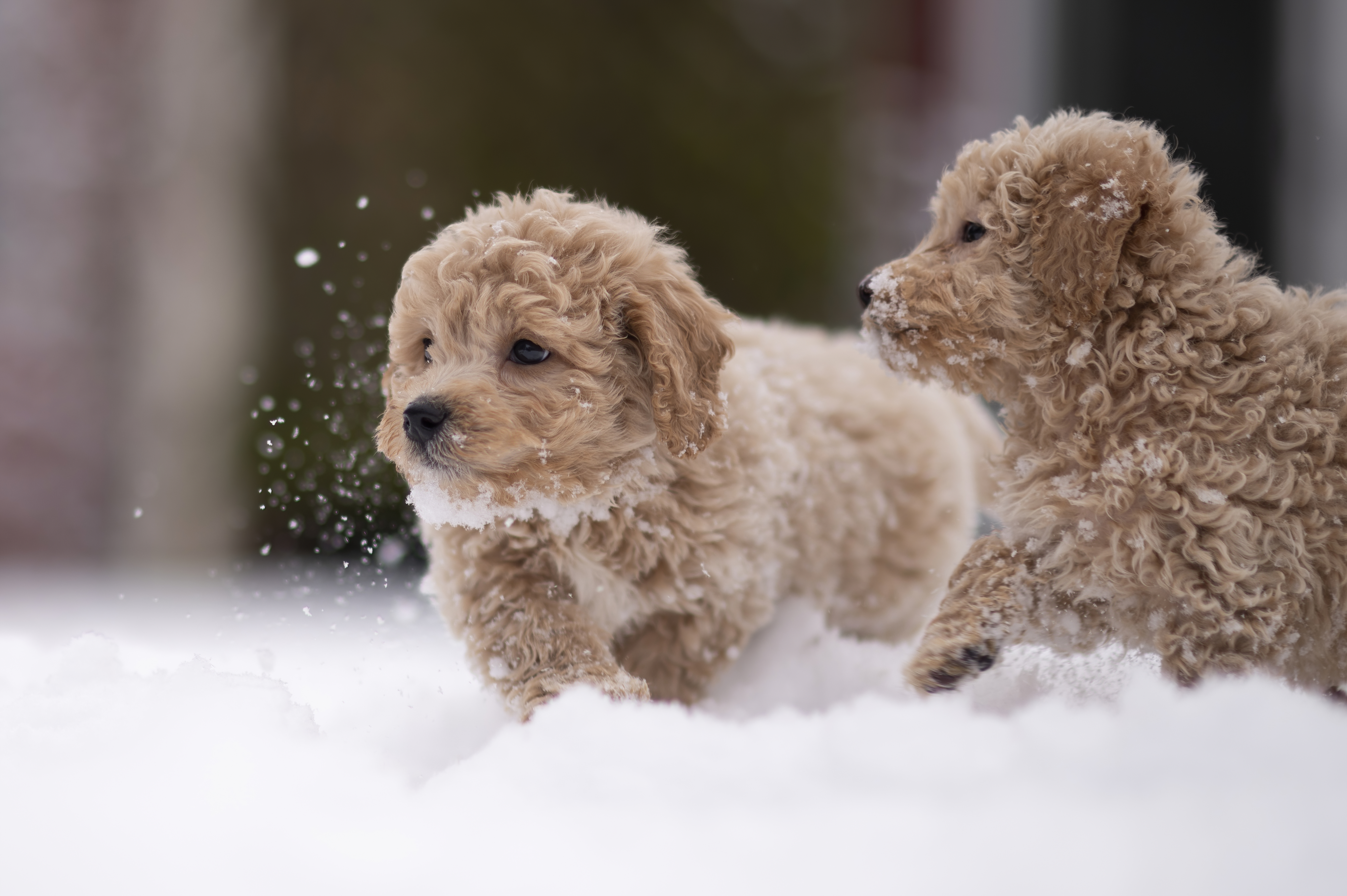 Lifestyle — DoodsDarls0731 f