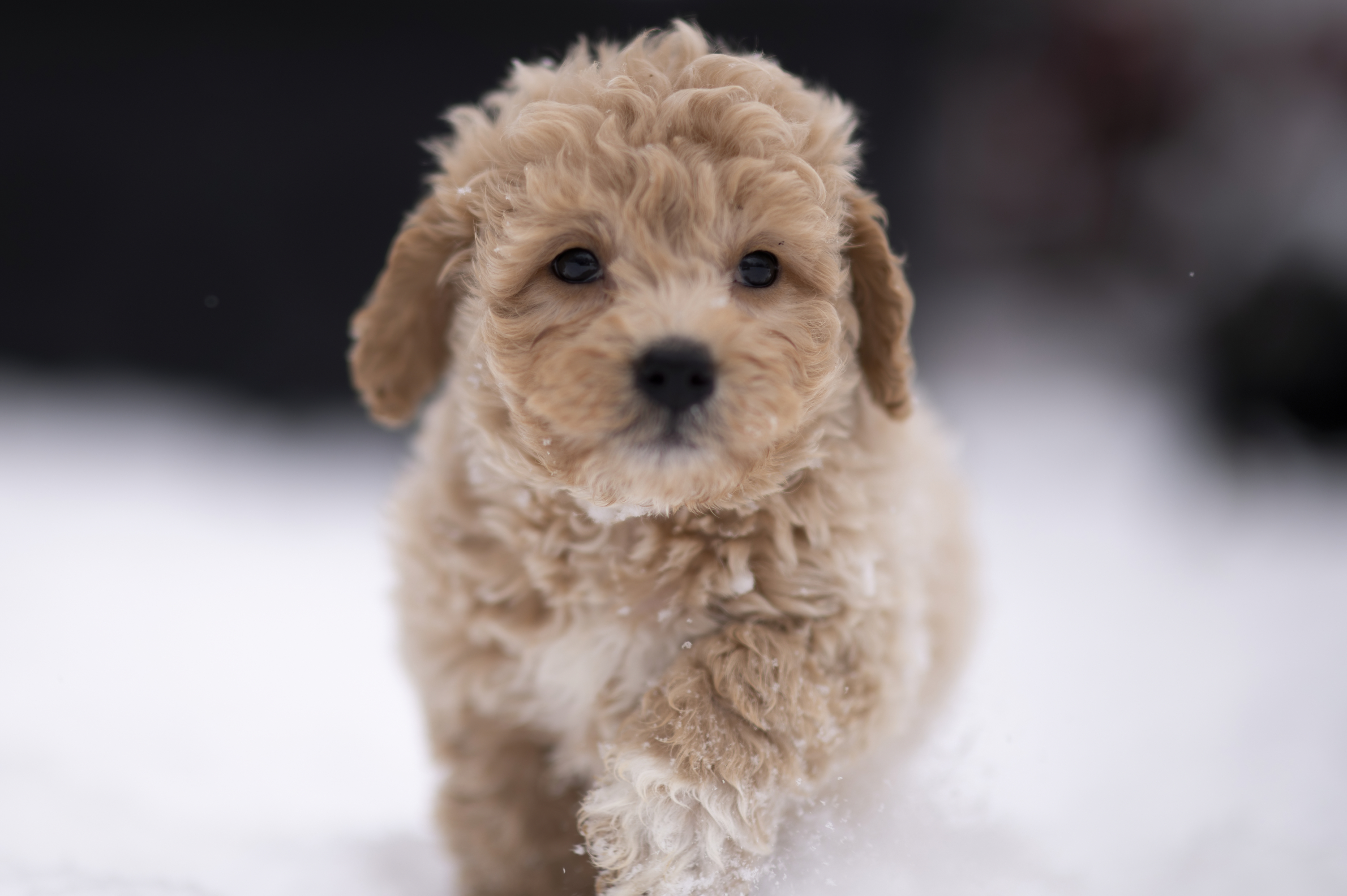 Lifestyle — DoodsDarls0957 f