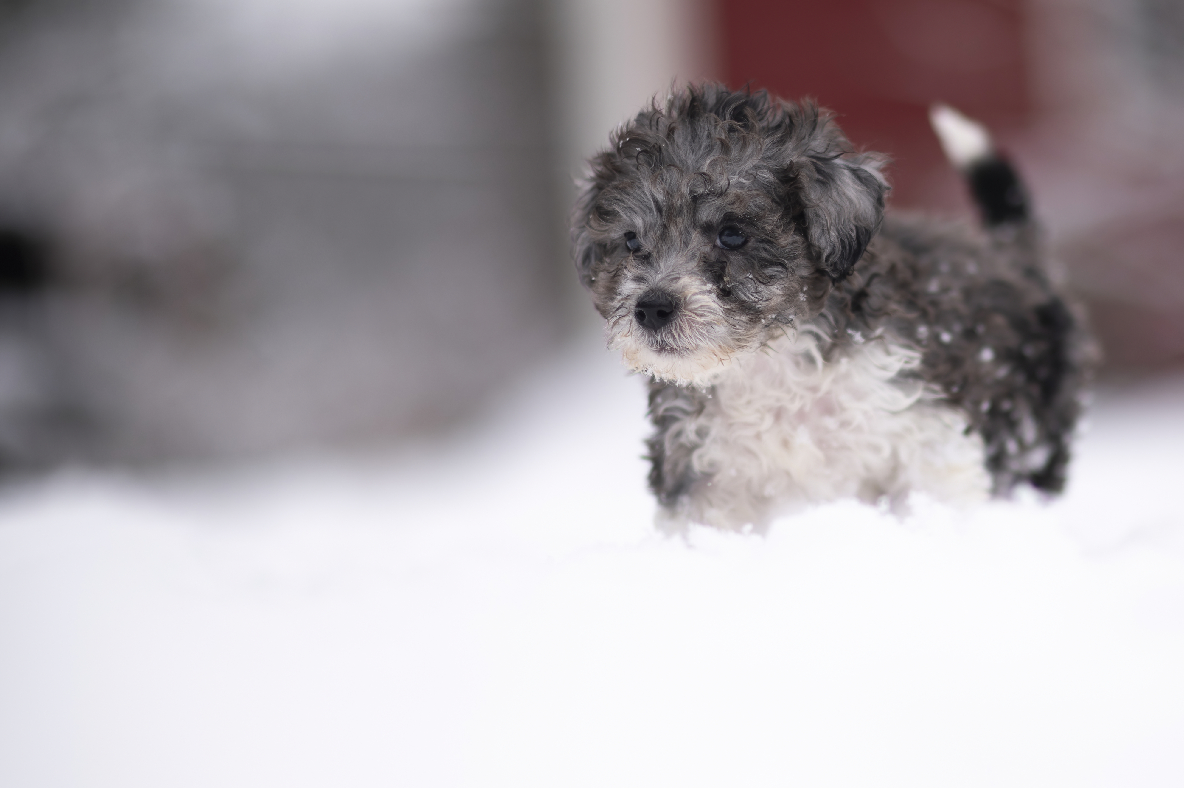 Lifestyle — DoodsDarls1083 f