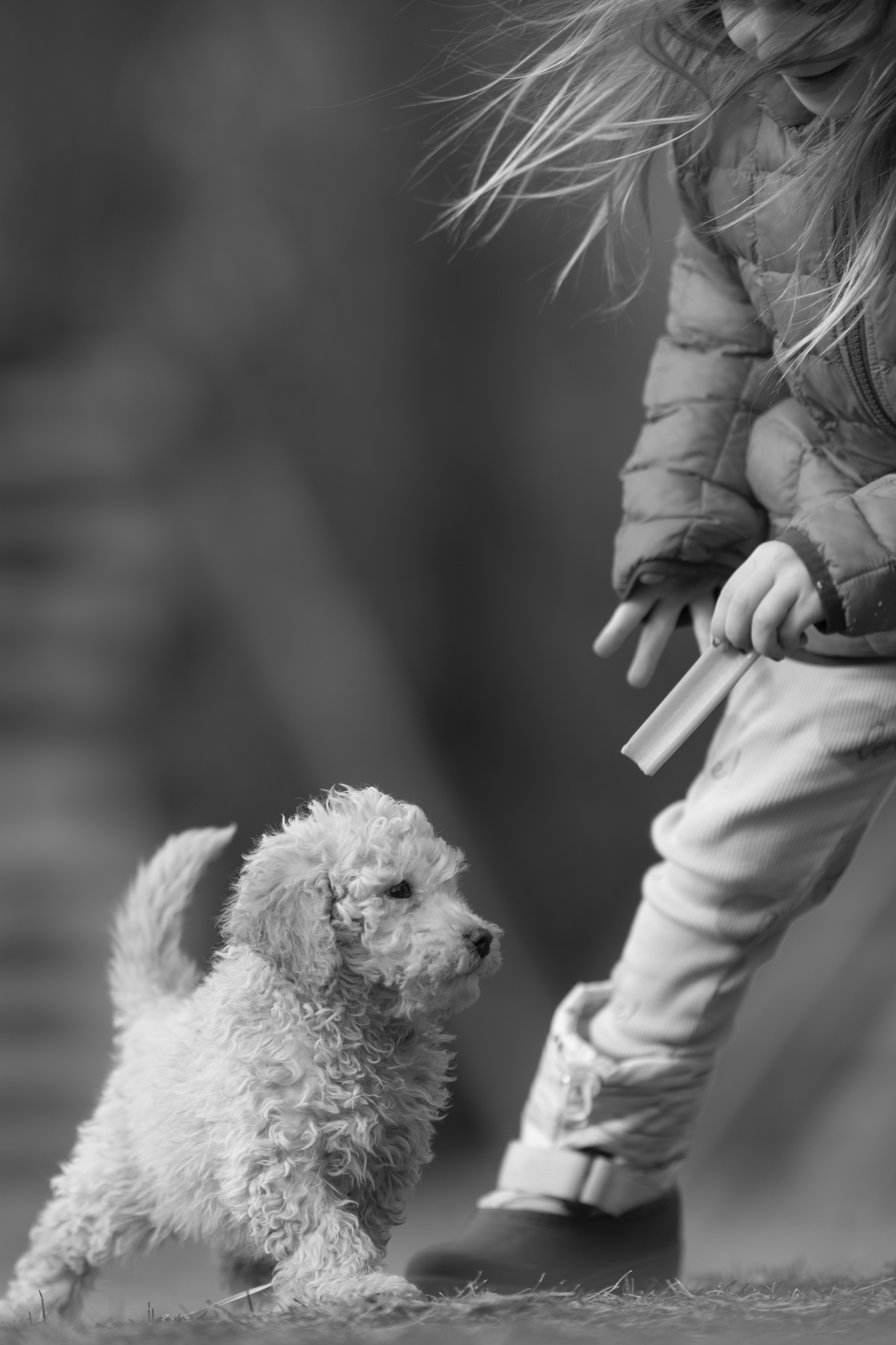 Lifestyle — Brooklyn0173