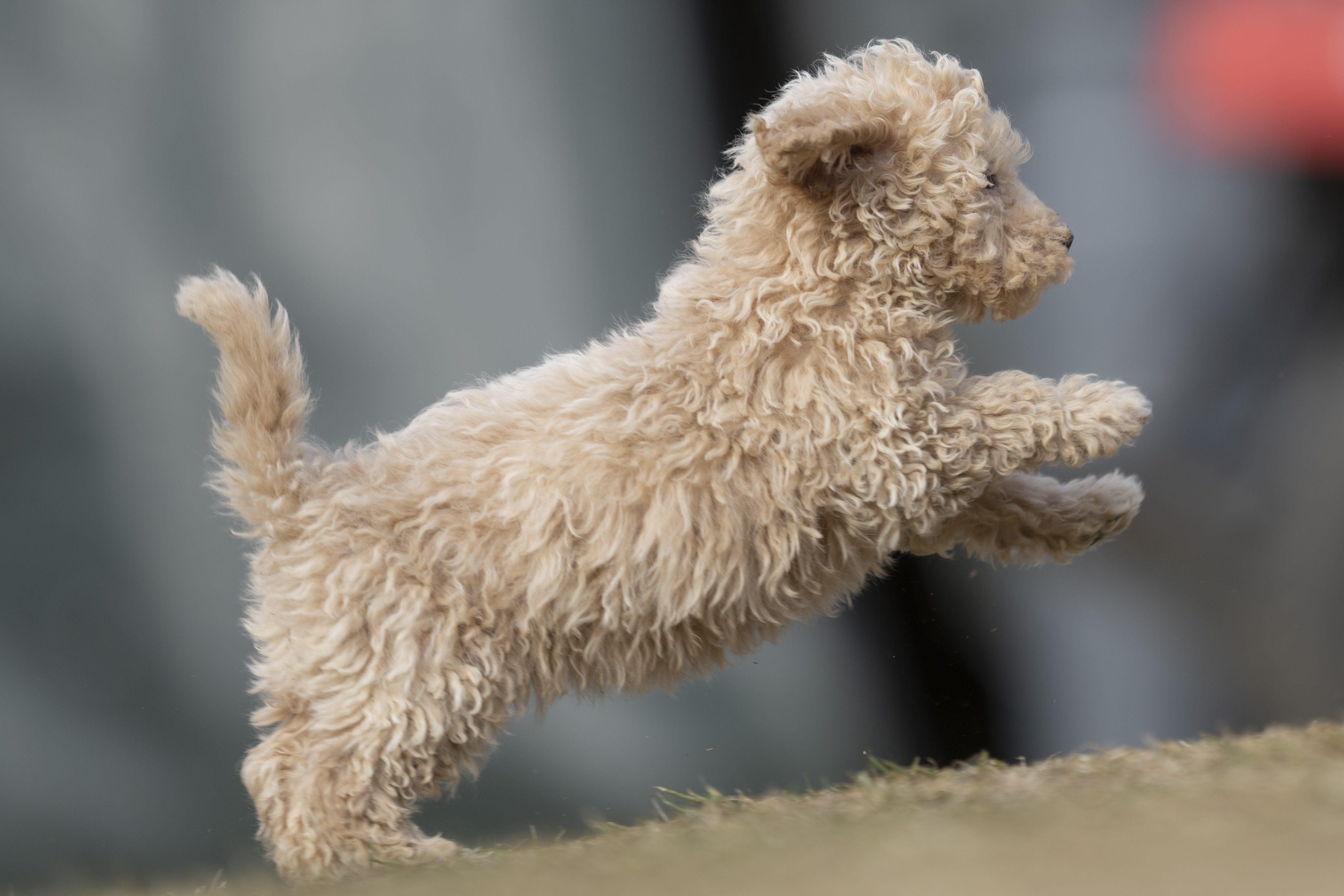 Lifestyle — Brooklyn0191