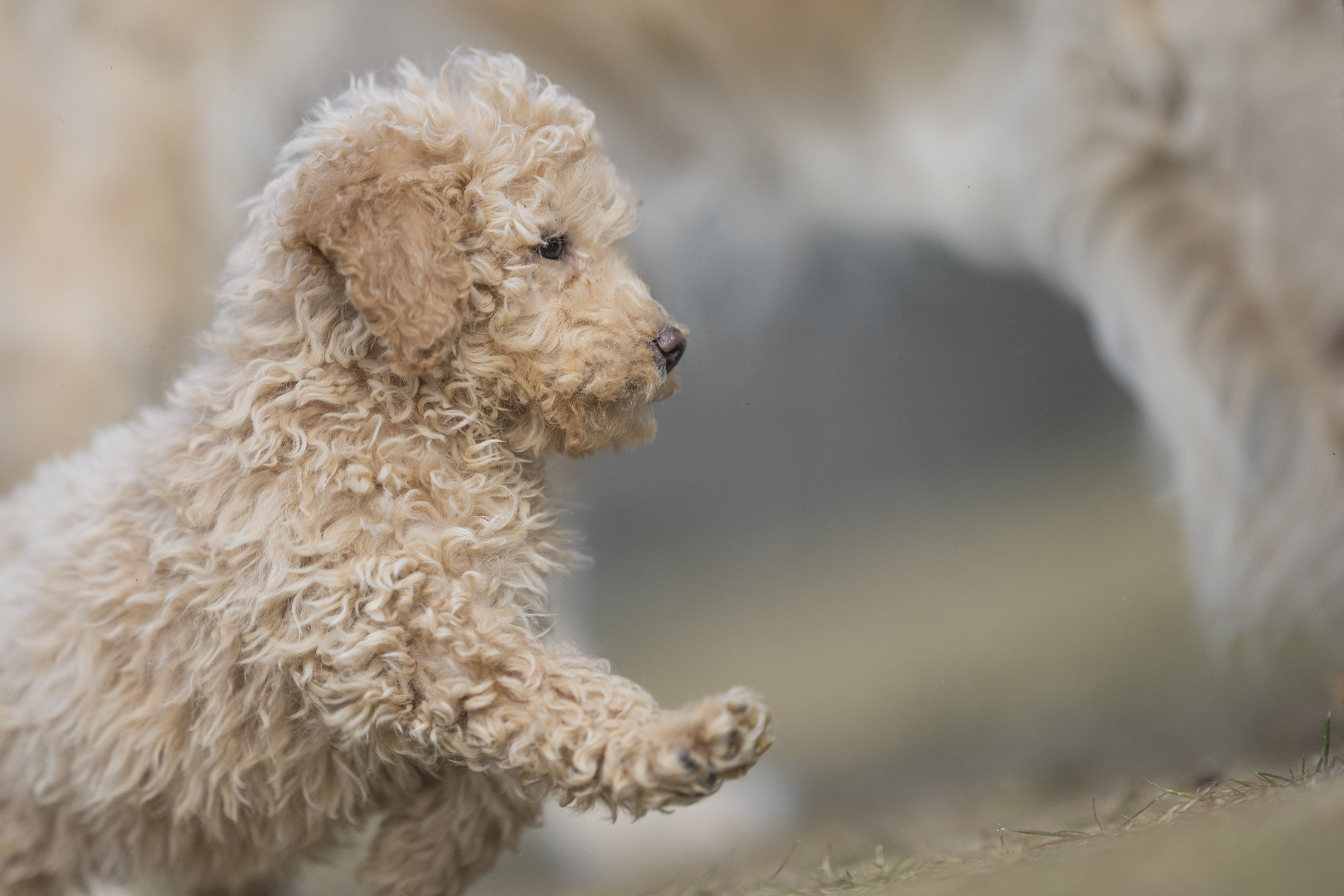 Lifestyle — Brooklyn0214