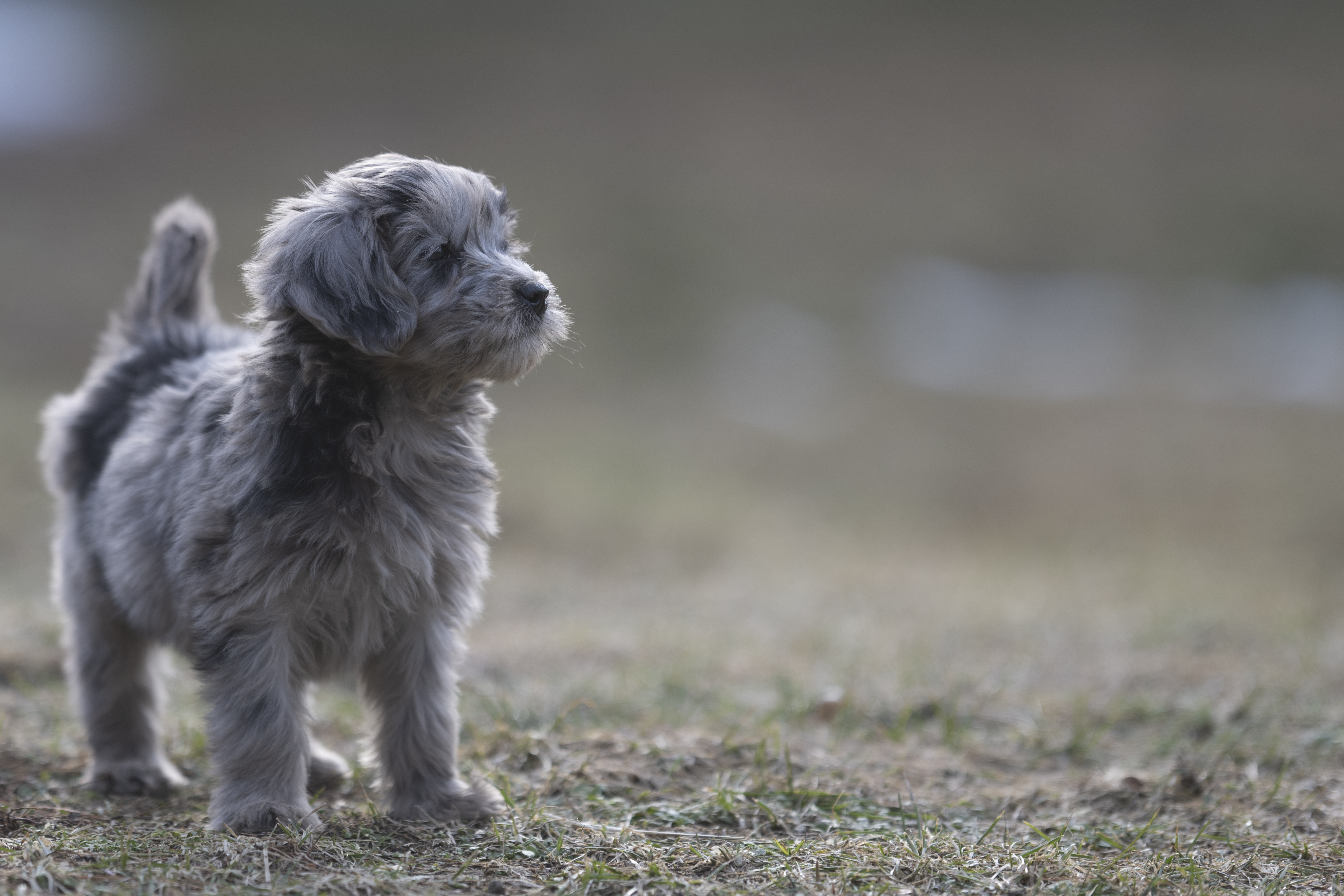 Lifestyle — Brooklyn0221