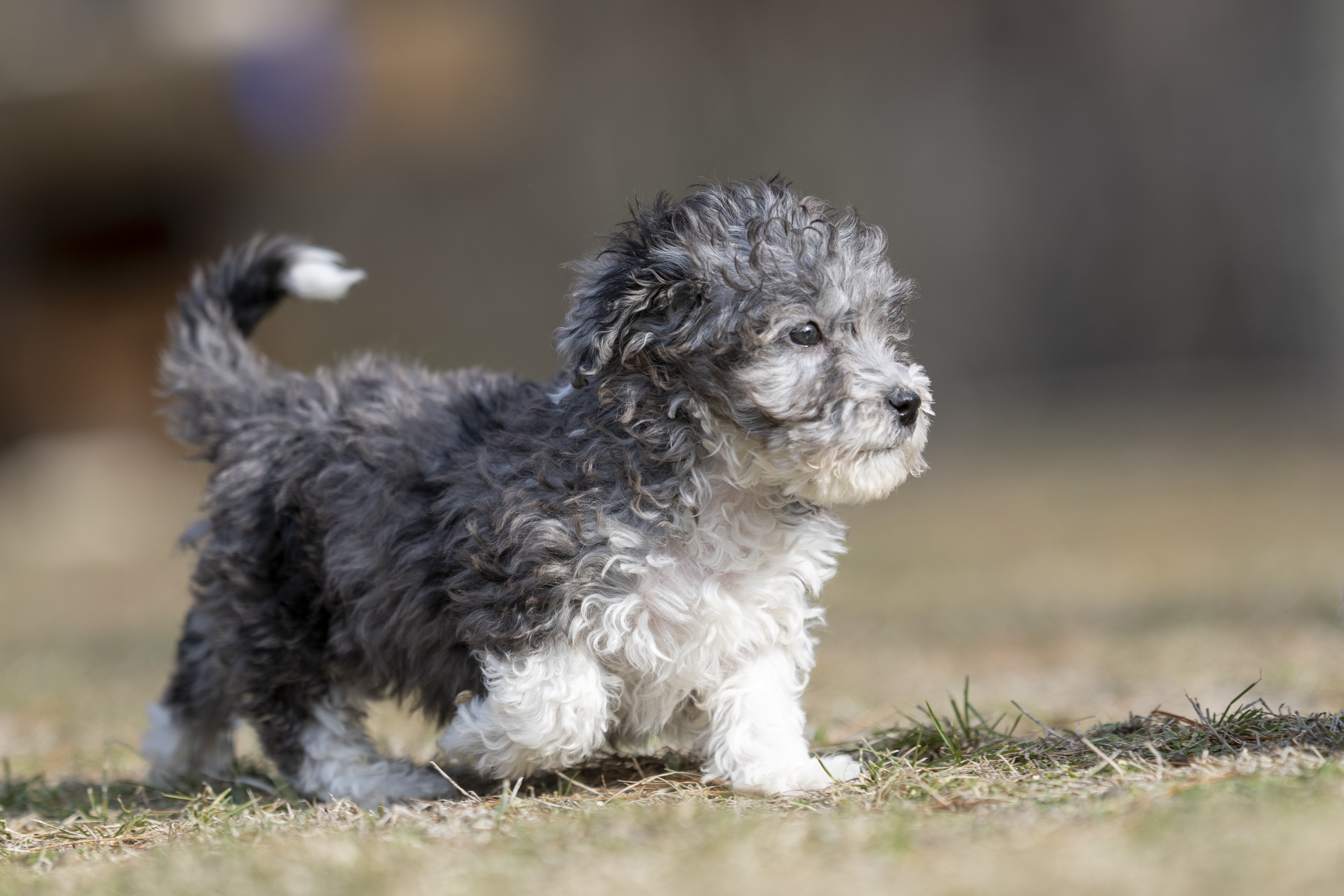 Lifestyle — Brooklyn0261