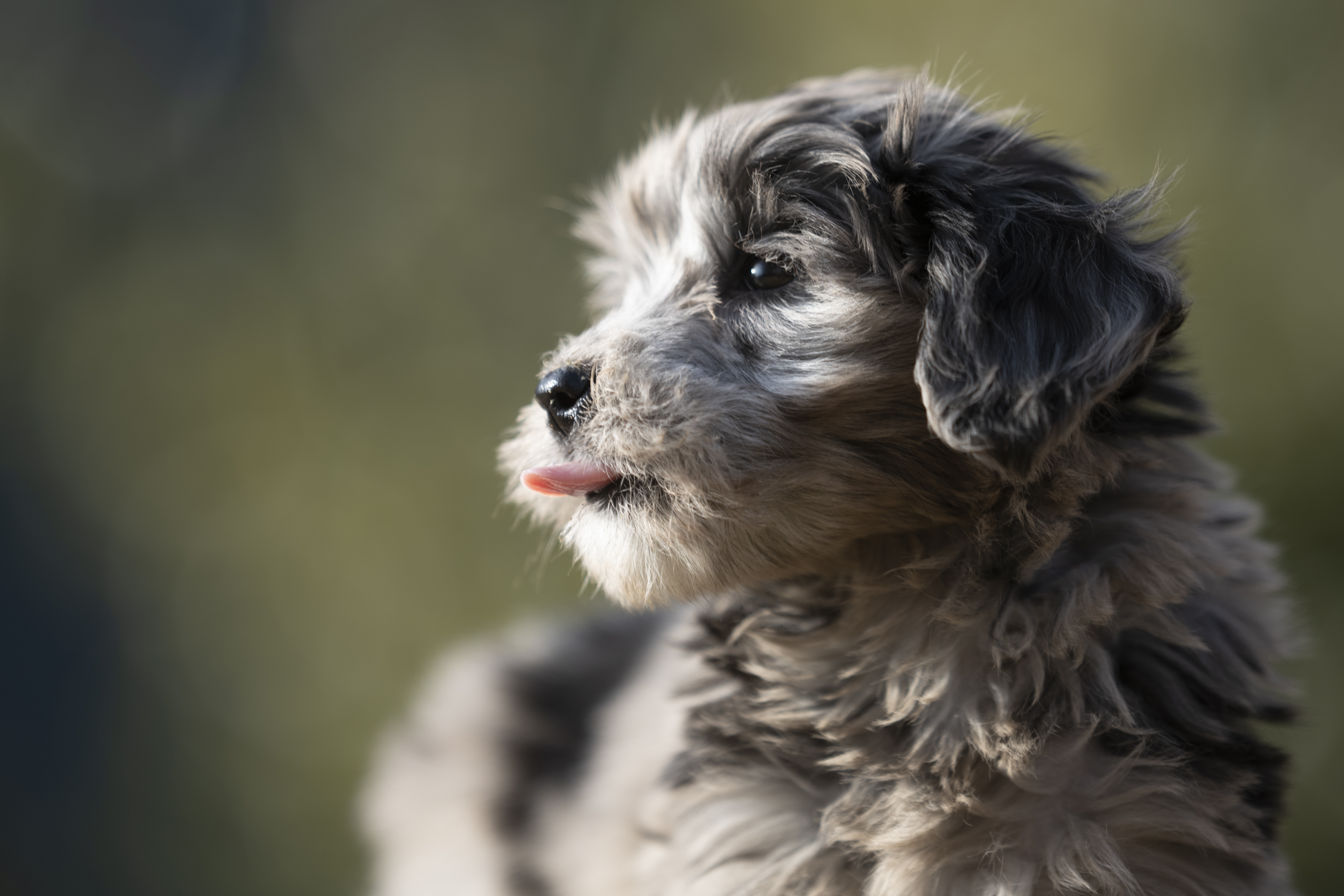 Lifestyle — Brooklyn0995