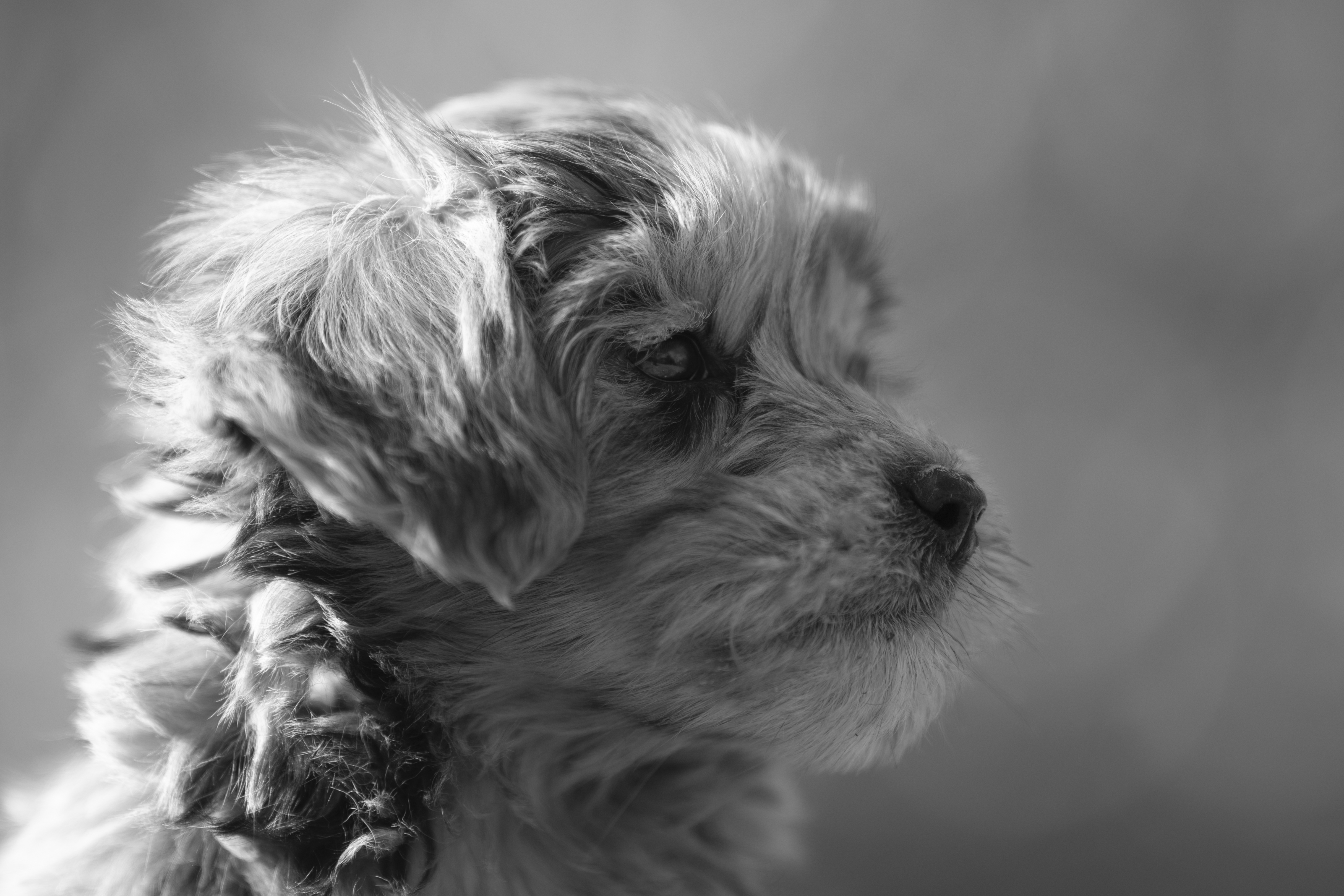 Lifestyle — Brooklyn1027