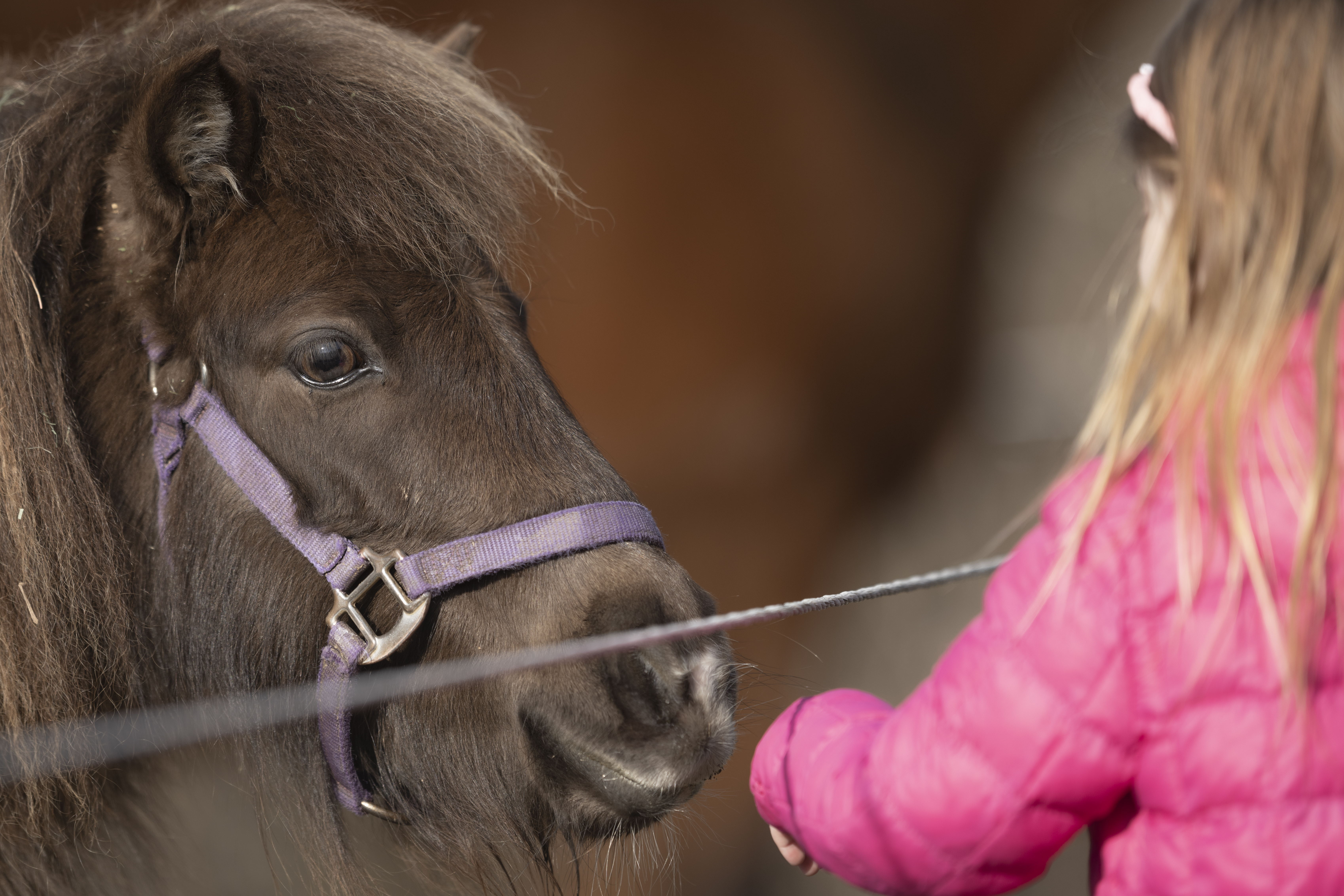 Lifestyle — Brooklyn1060