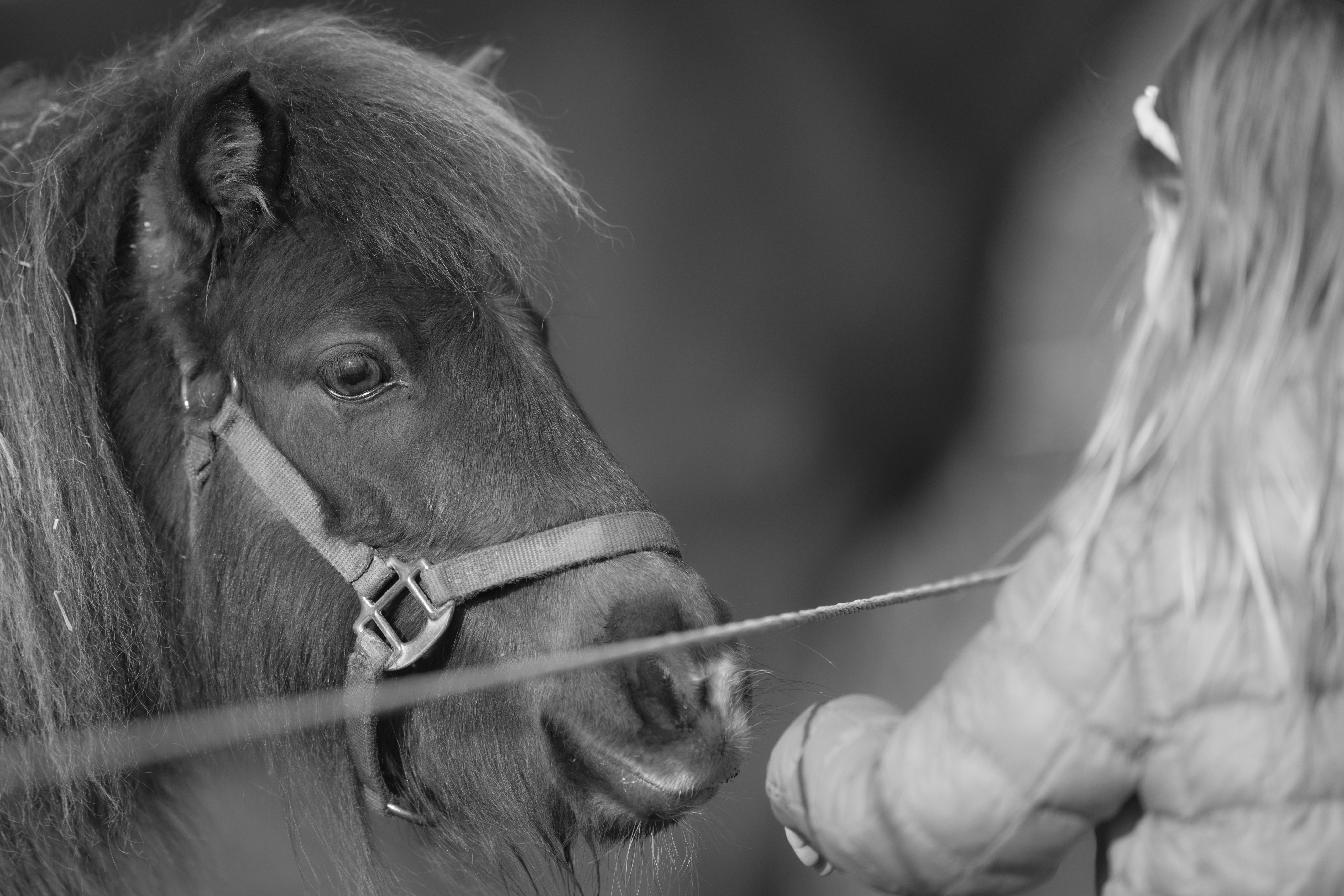 Lifestyle — Brooklyn1060 1