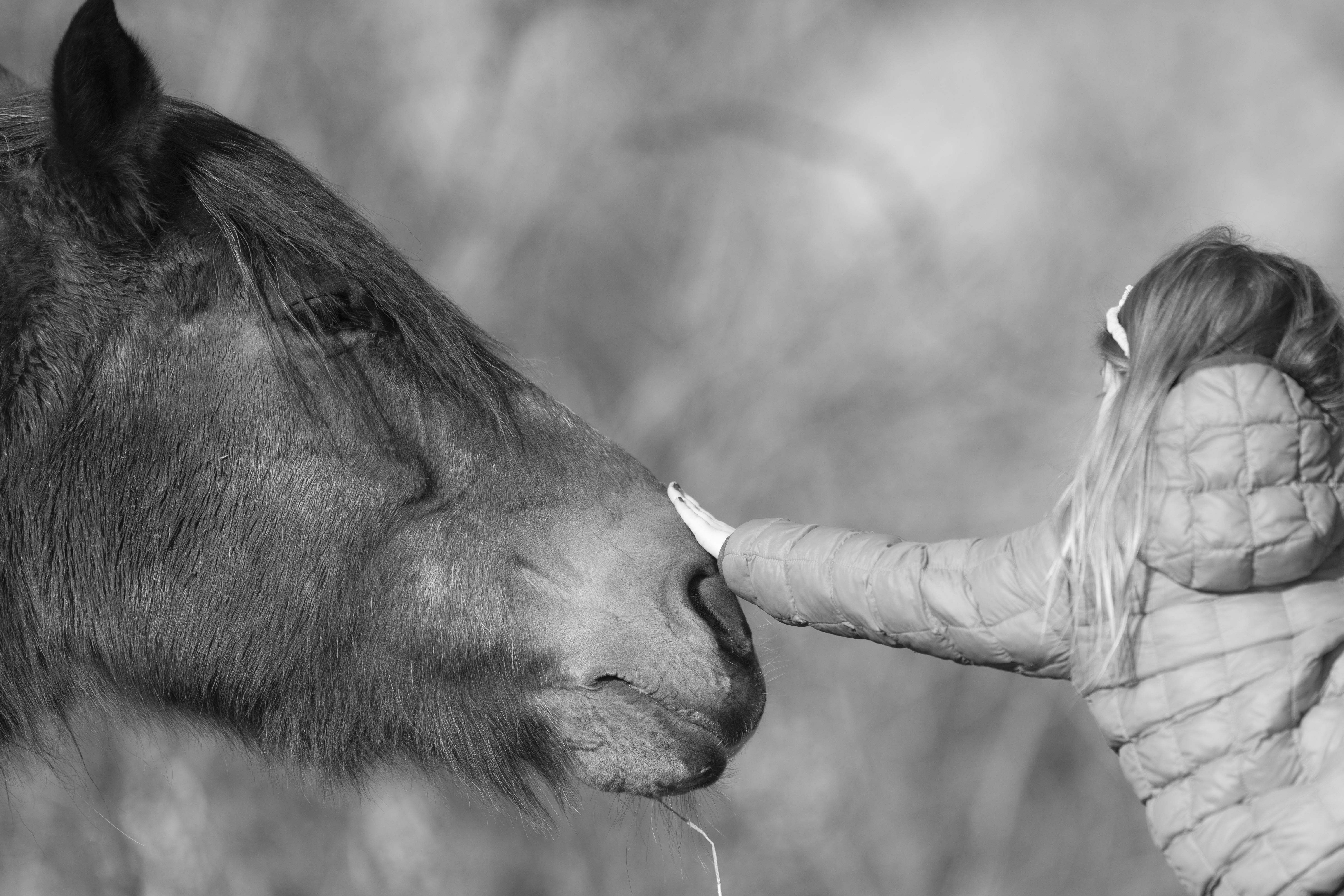 Lifestyle — Brooklyn1176