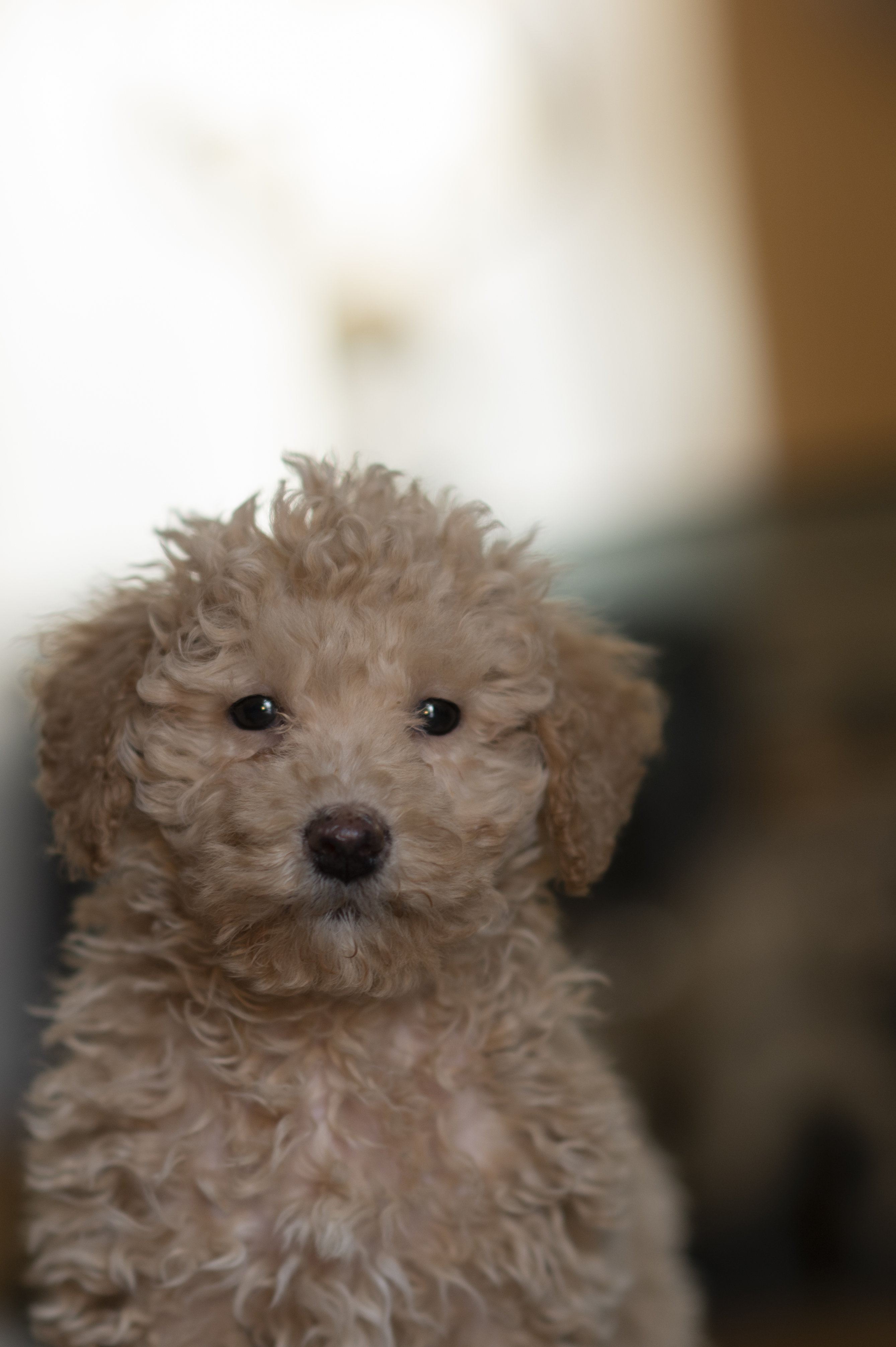 Lifestyle — Brooklyn1737