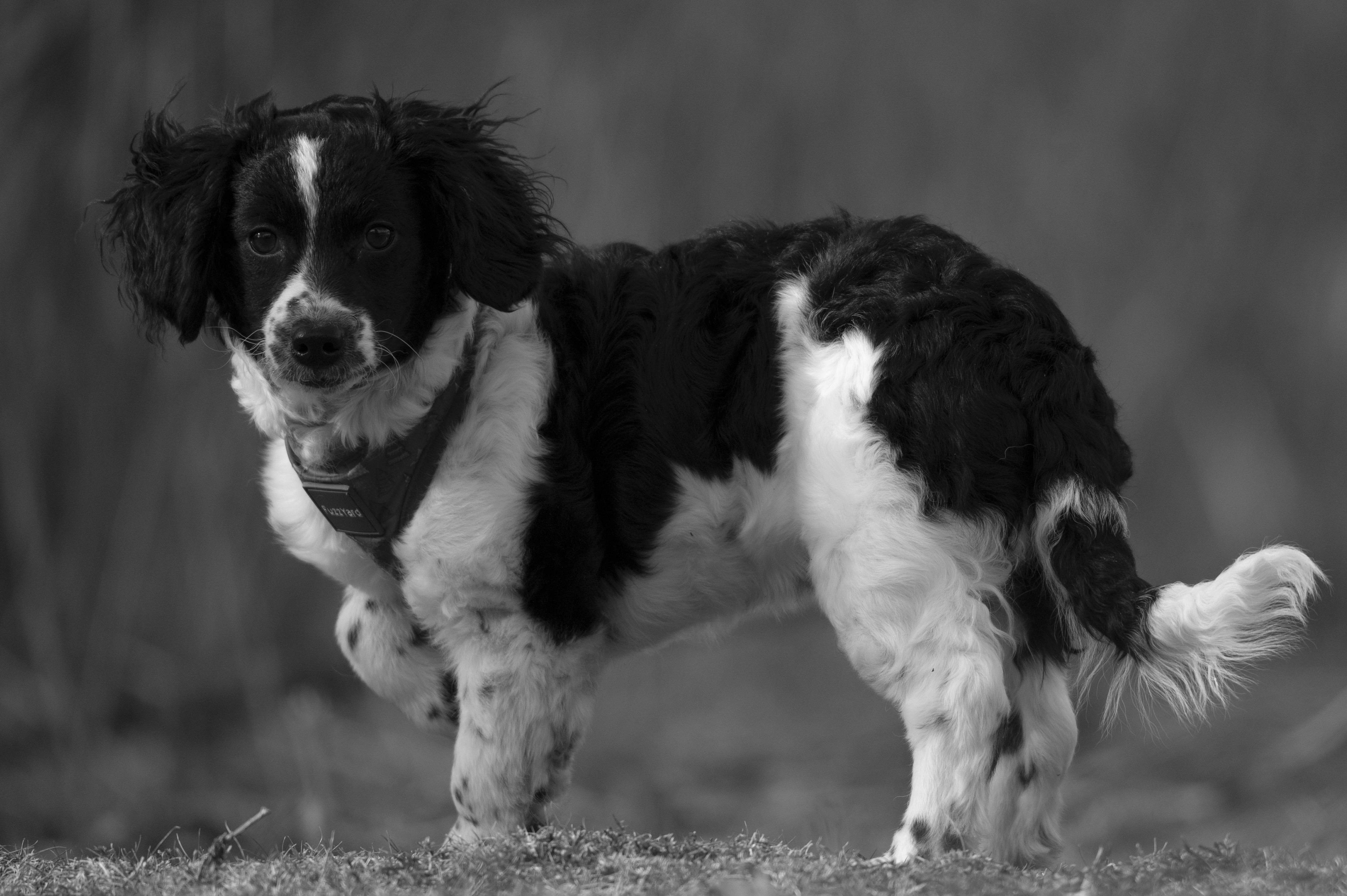 Lifestyle — AlliHolly084 1