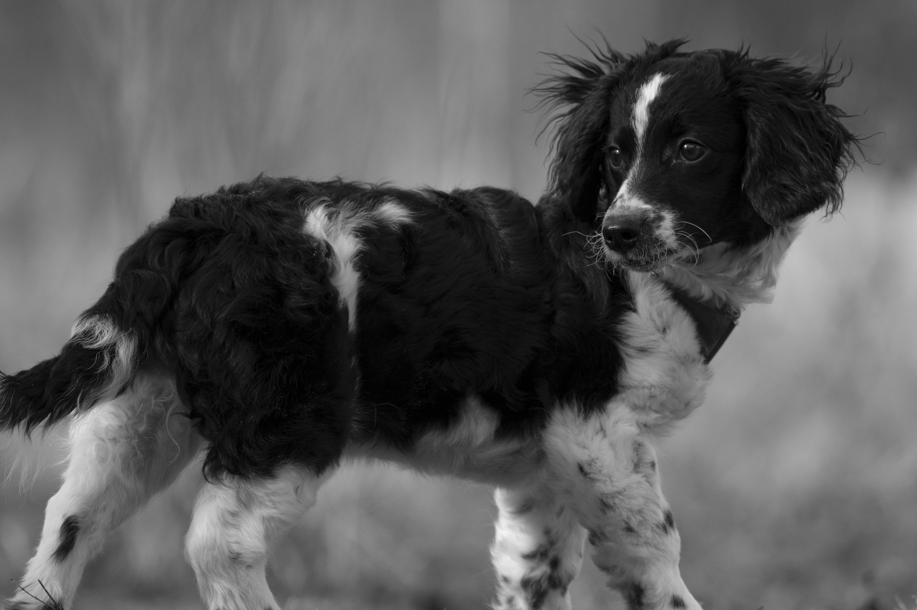 Lifestyle — AlliHolly315 2