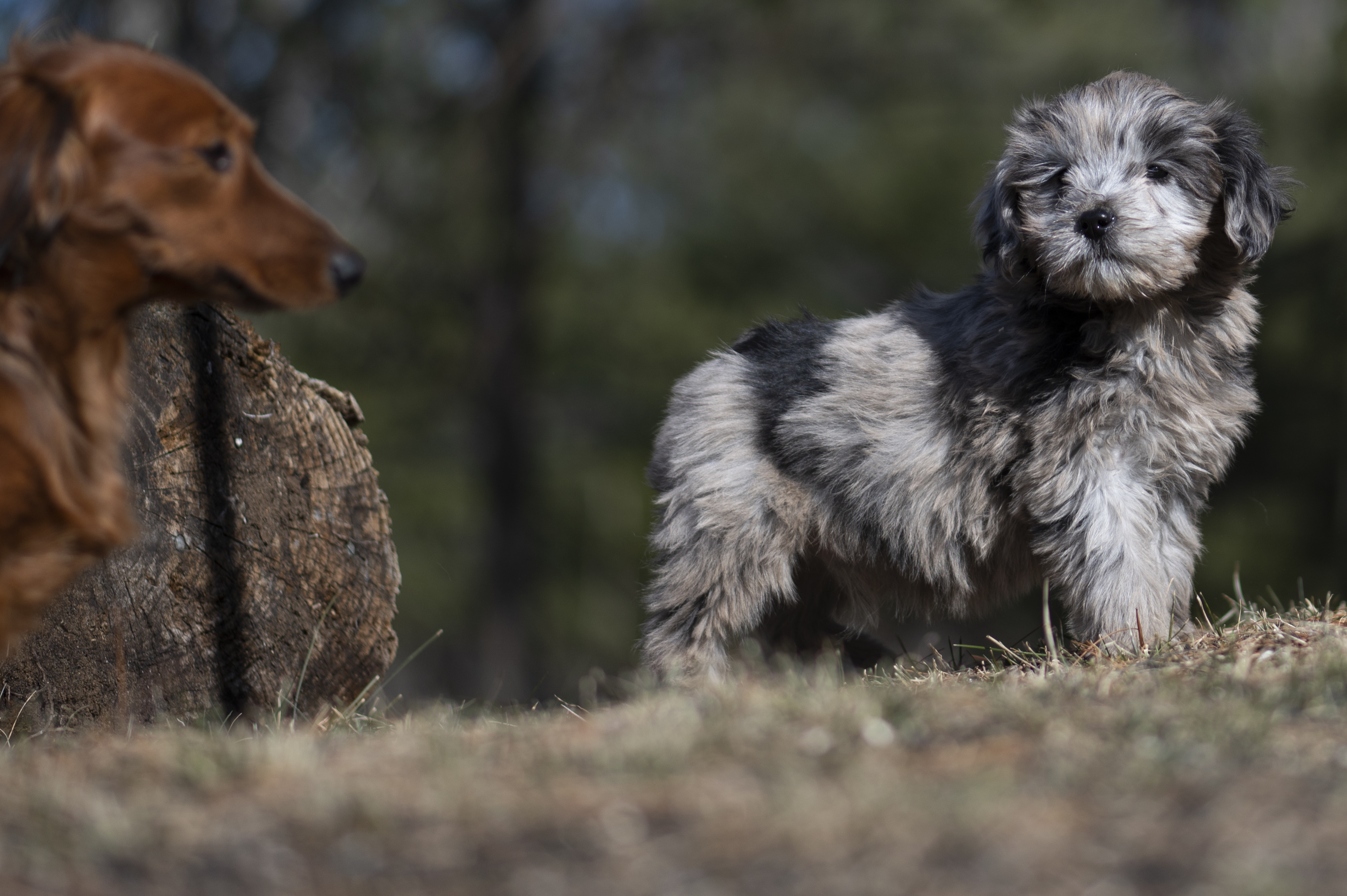 Lifestyle — Doods016