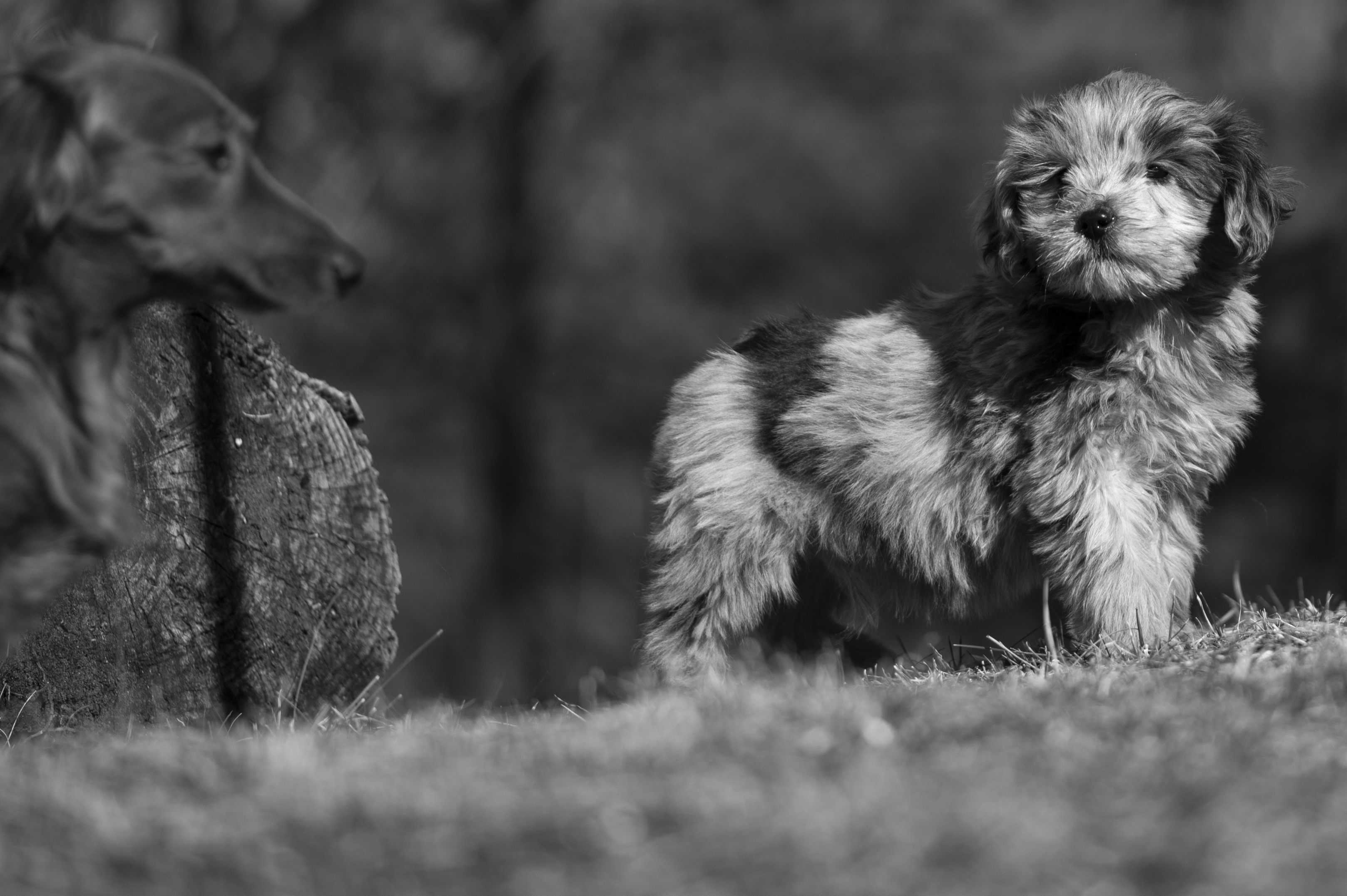 Lifestyle — Doods016 1