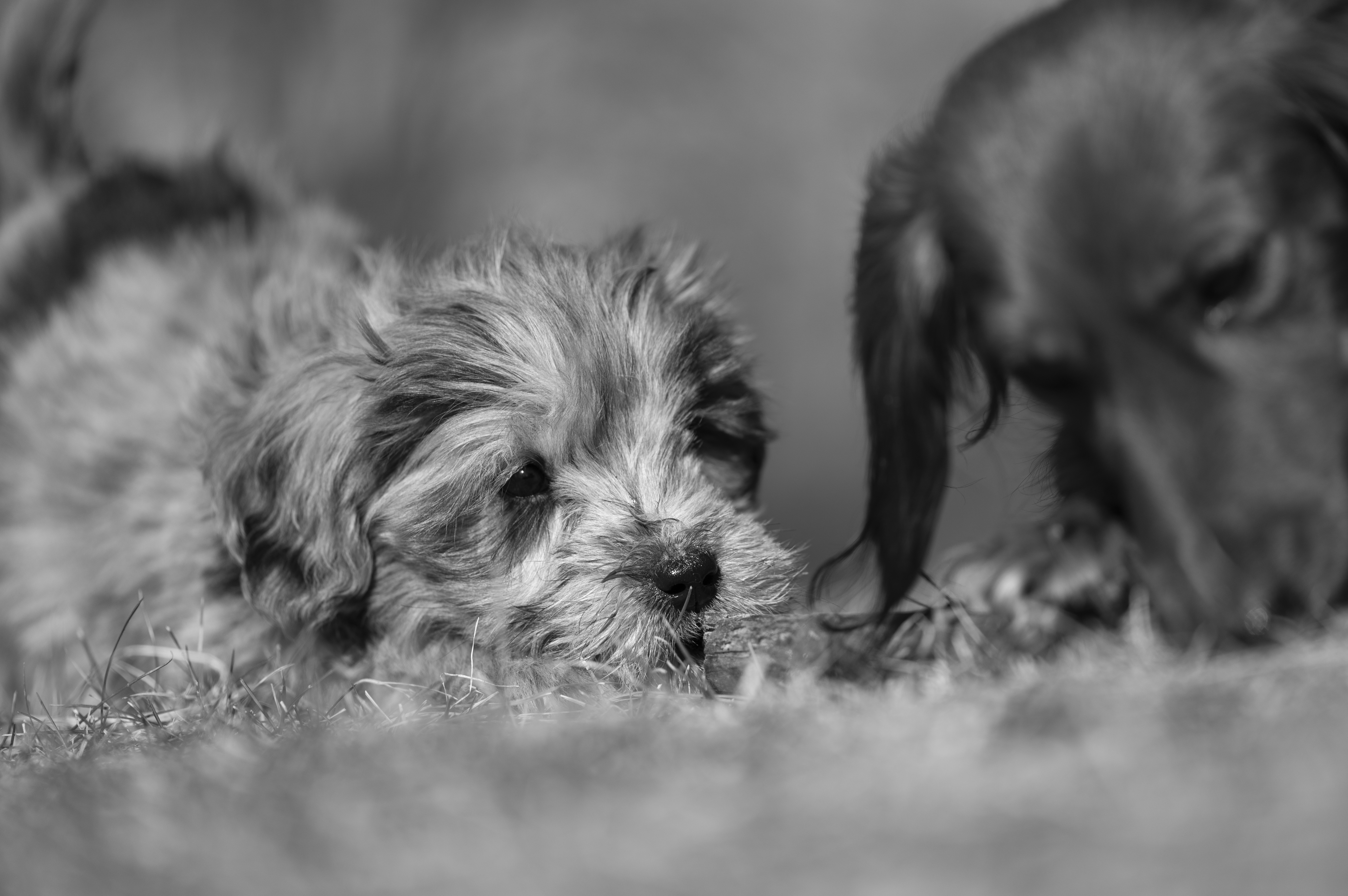 Lifestyle — Doods043