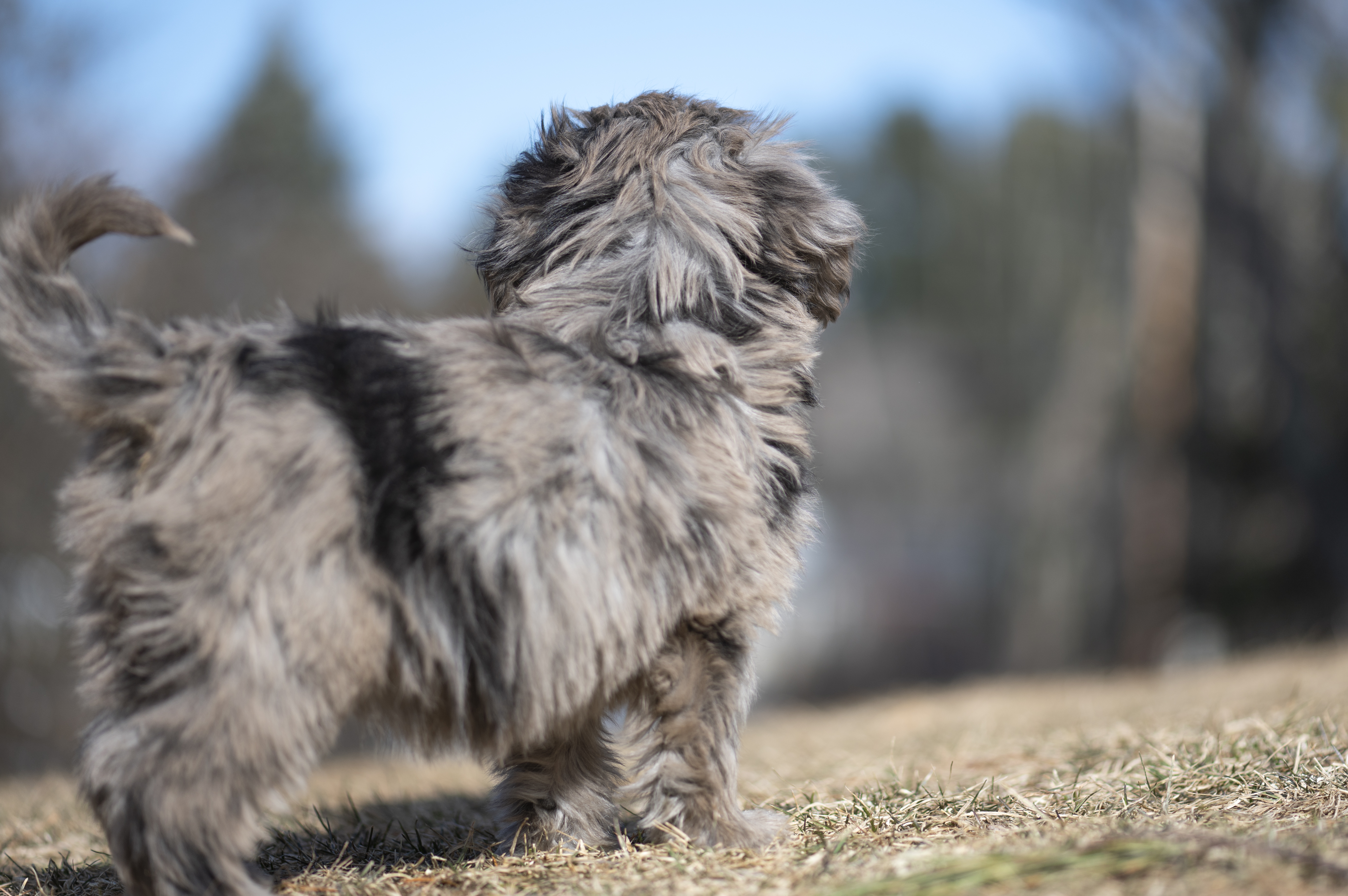 Lifestyle — Doods113