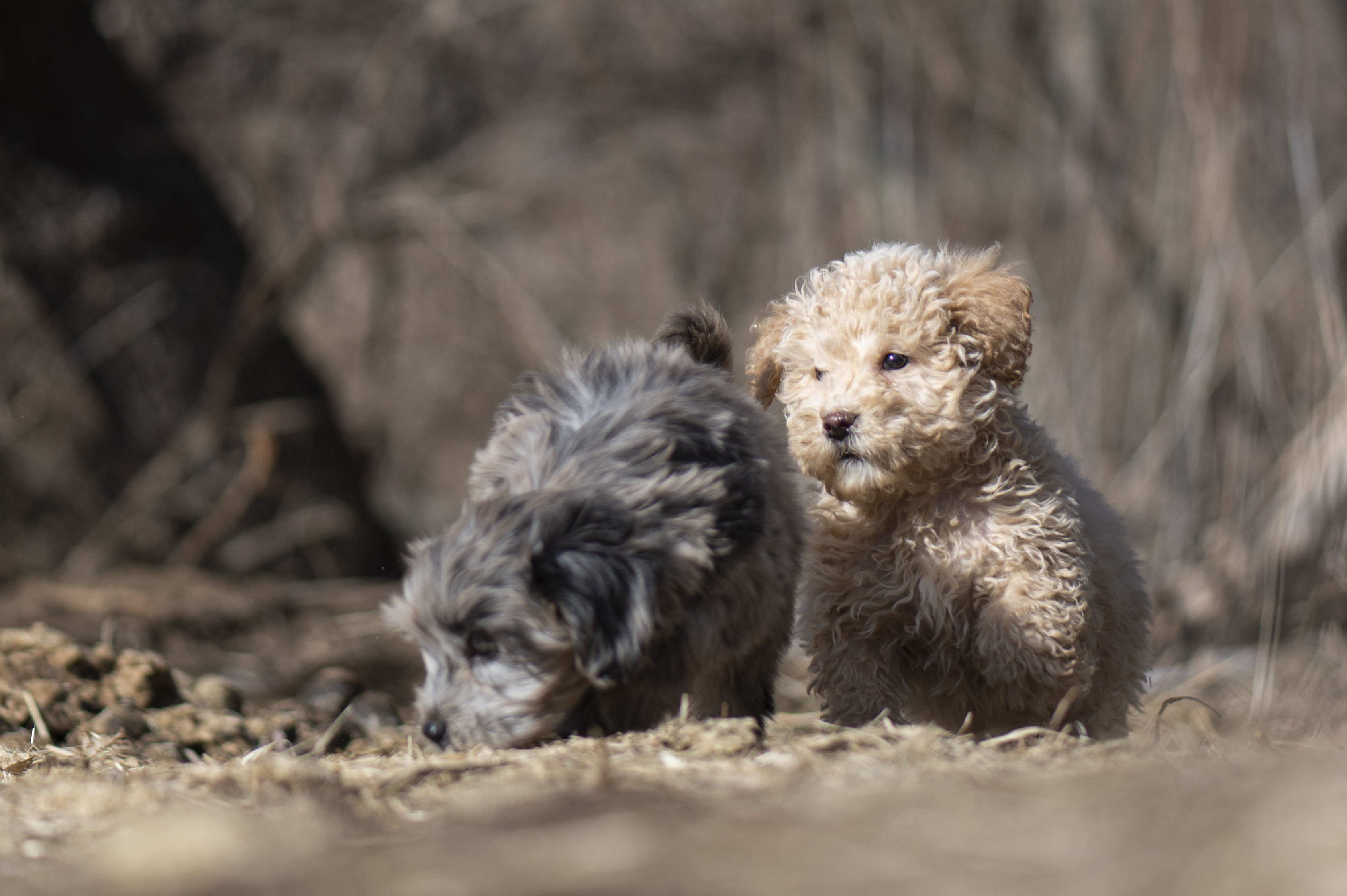 Lifestyle — Doods154