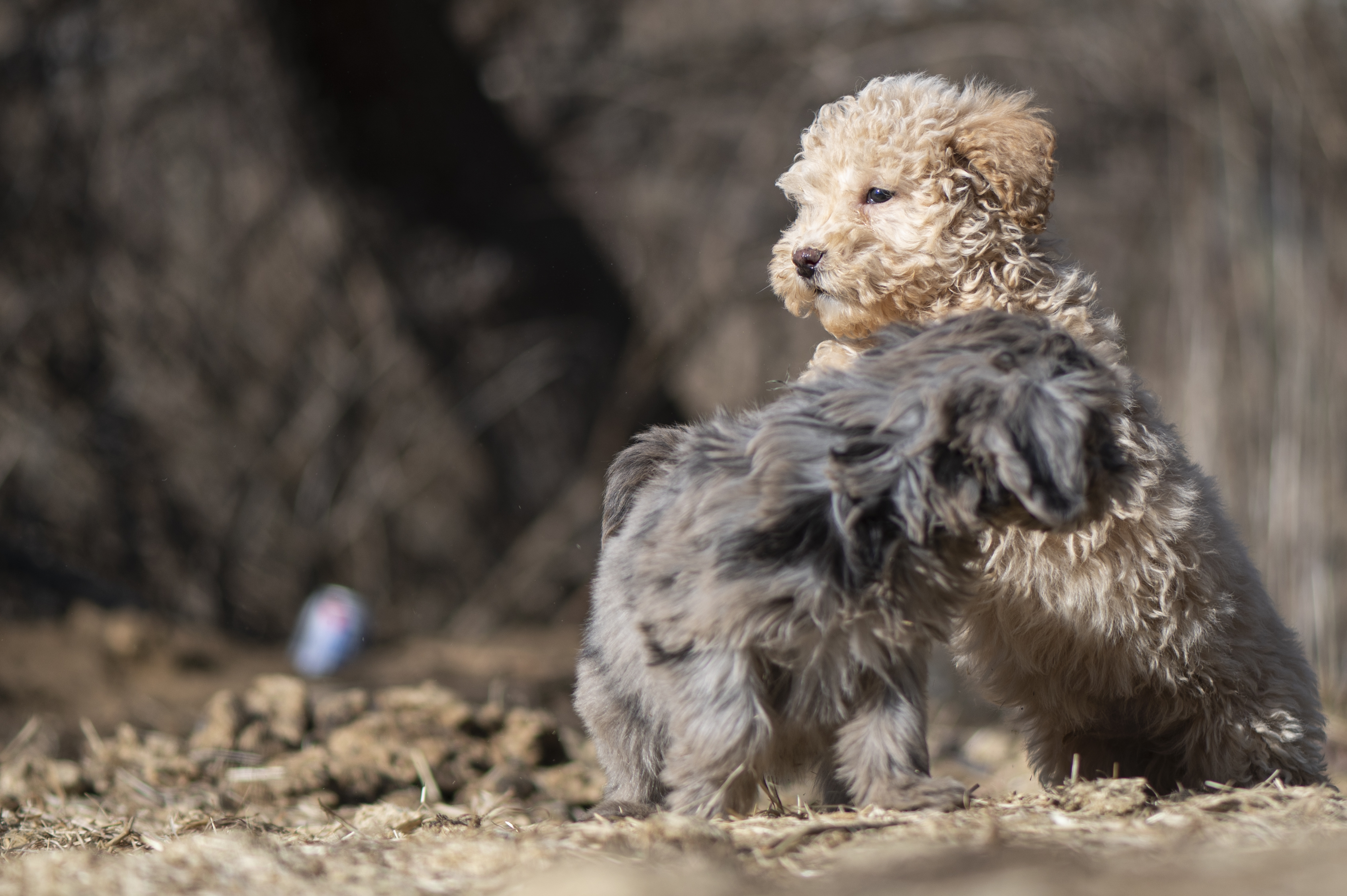 Lifestyle — Doods161