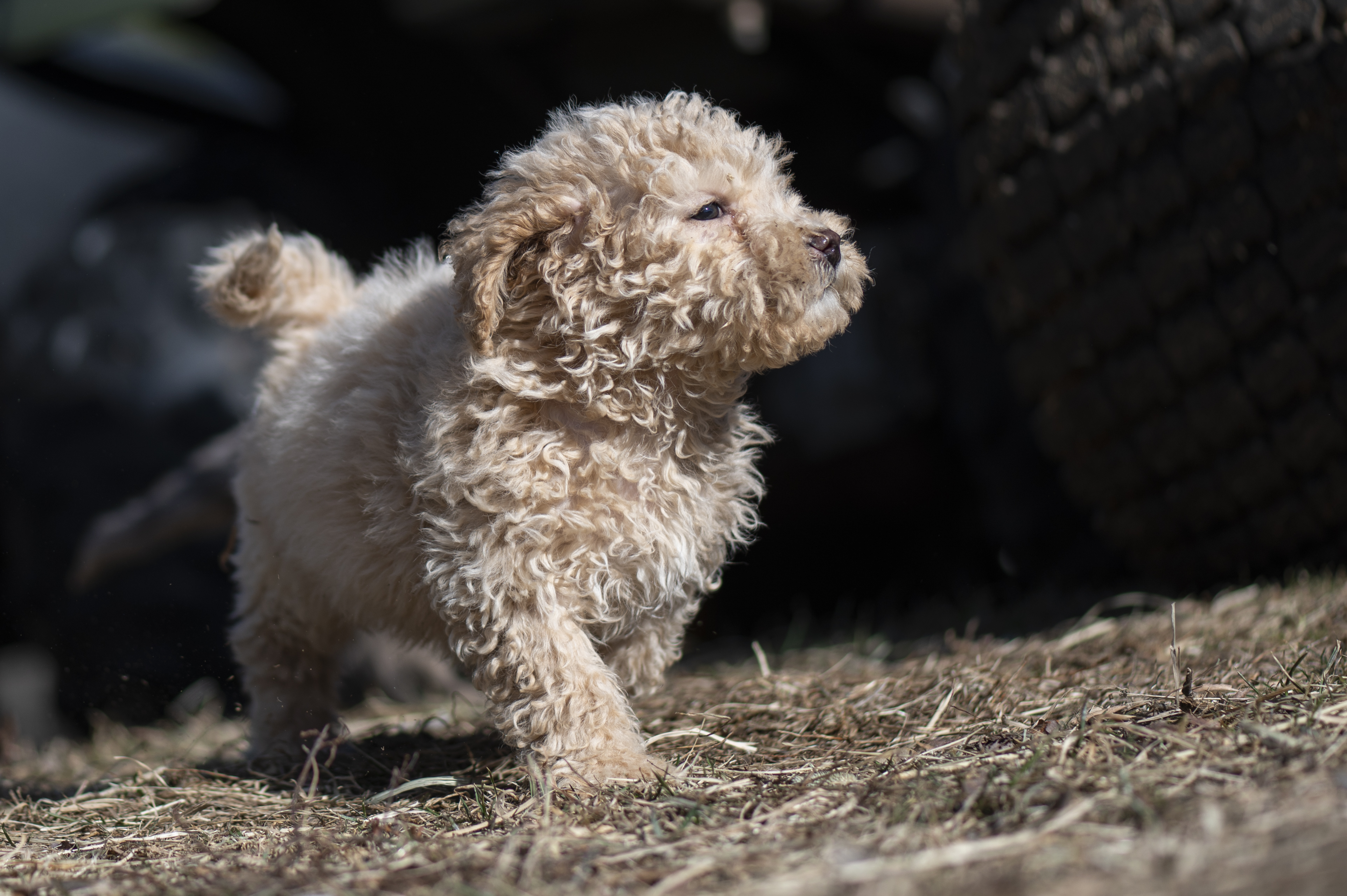 Lifestyle — Doods218