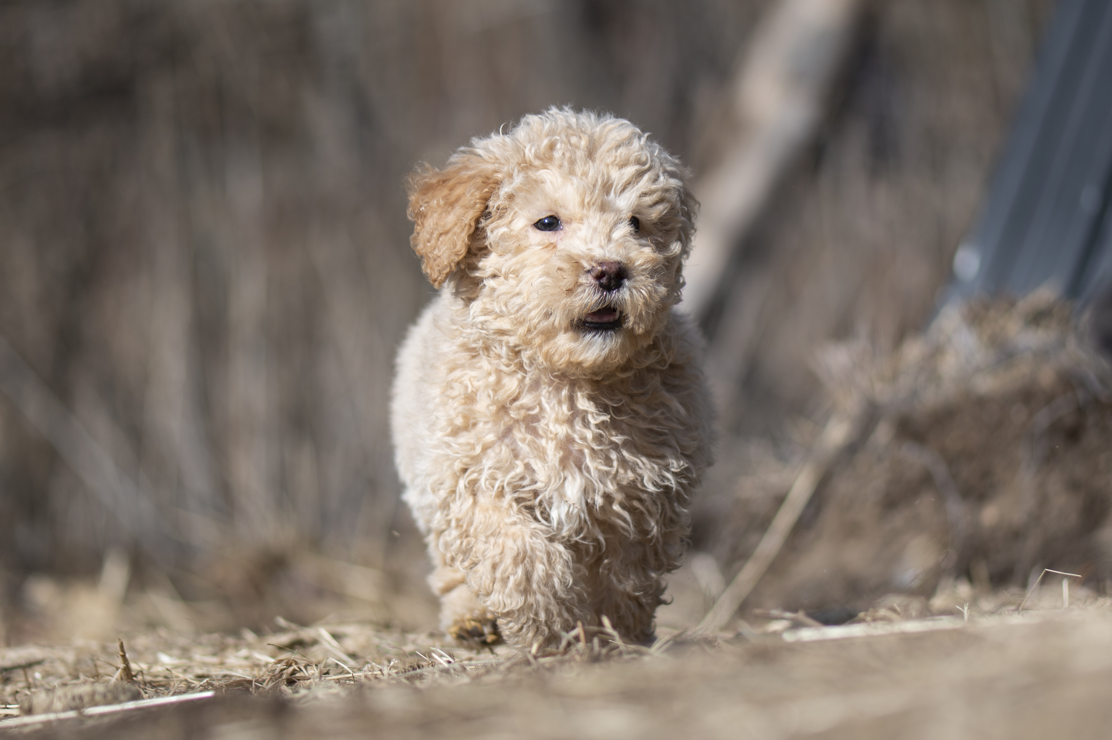 Lifestyle — Doods227