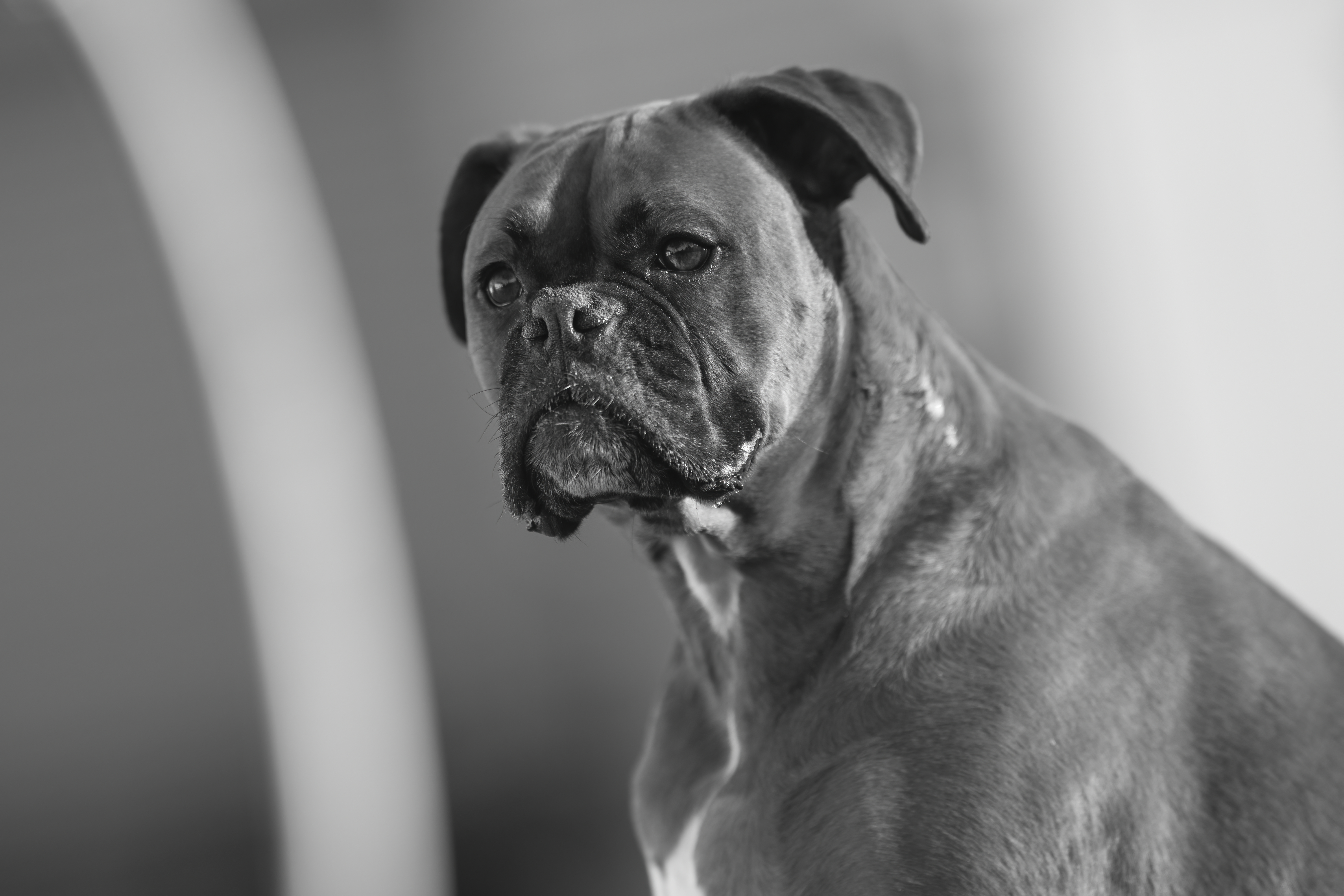 Lifestyle — CaremBoxers153 f