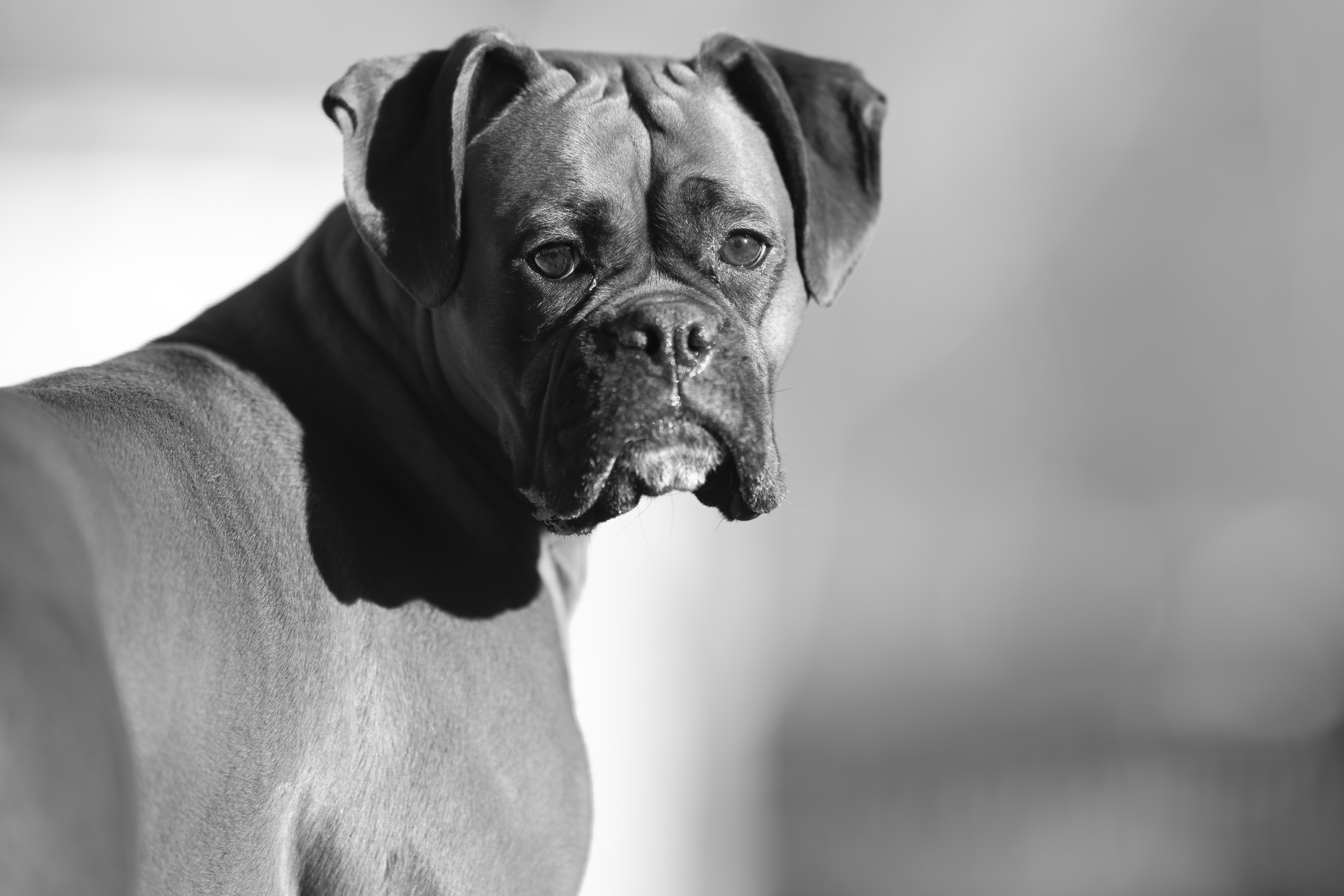 Lifestyle — CaremBoxers176 1 f