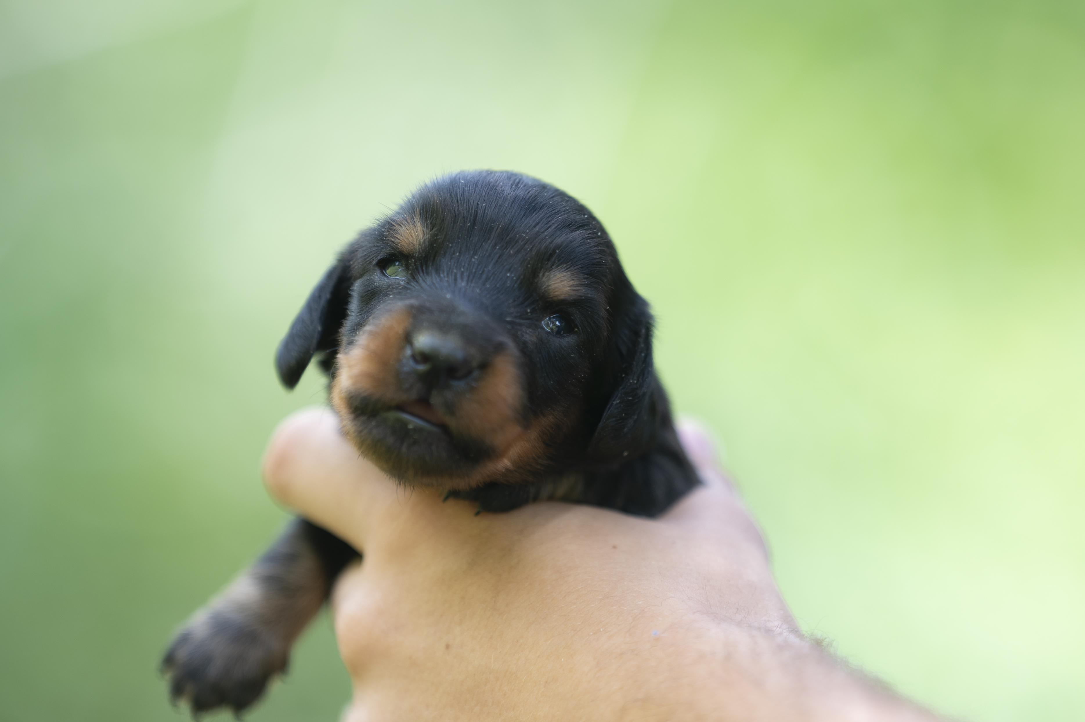 Lifestyle — HotDogs105