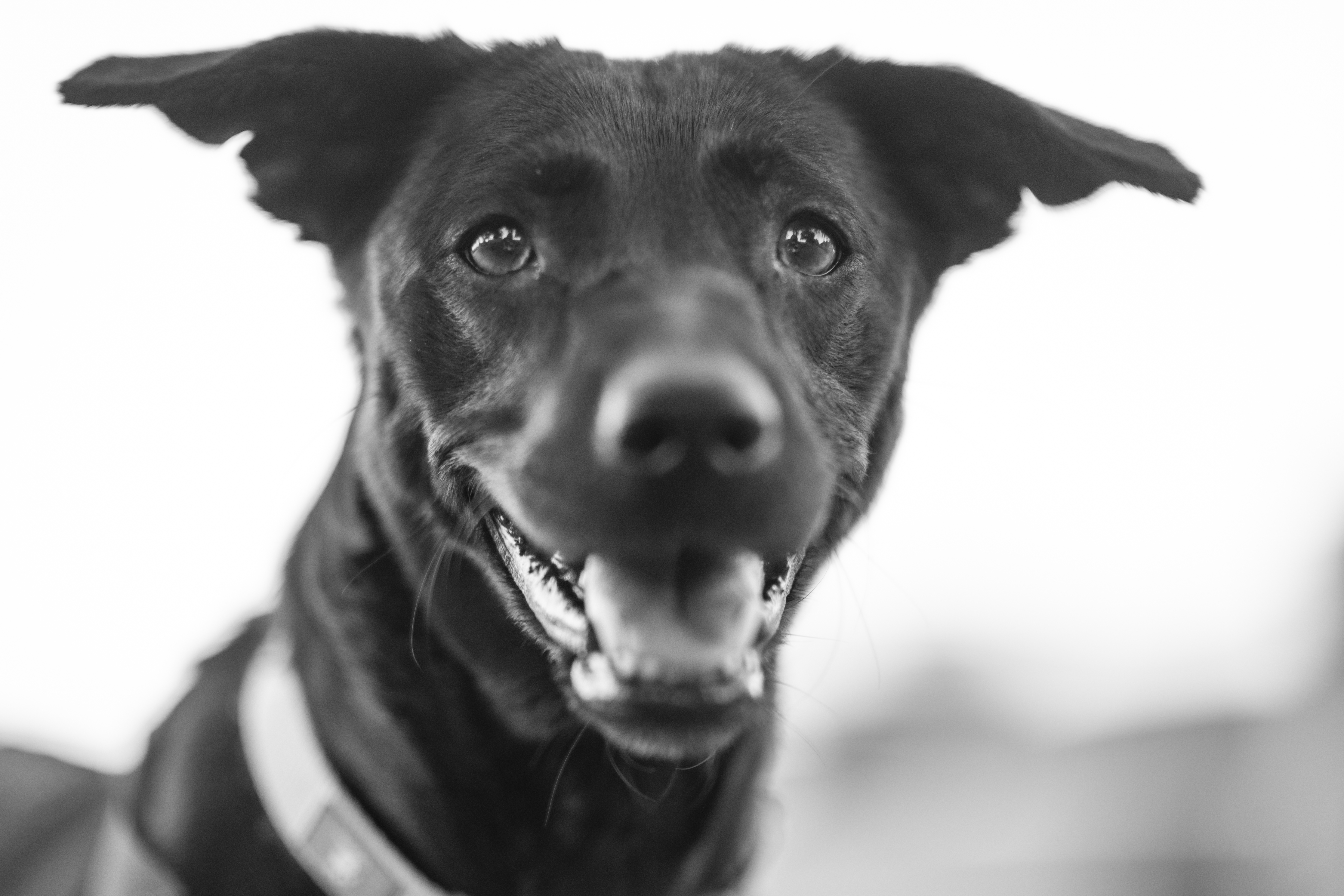 Lifestyle — Boyz Dinnewr415