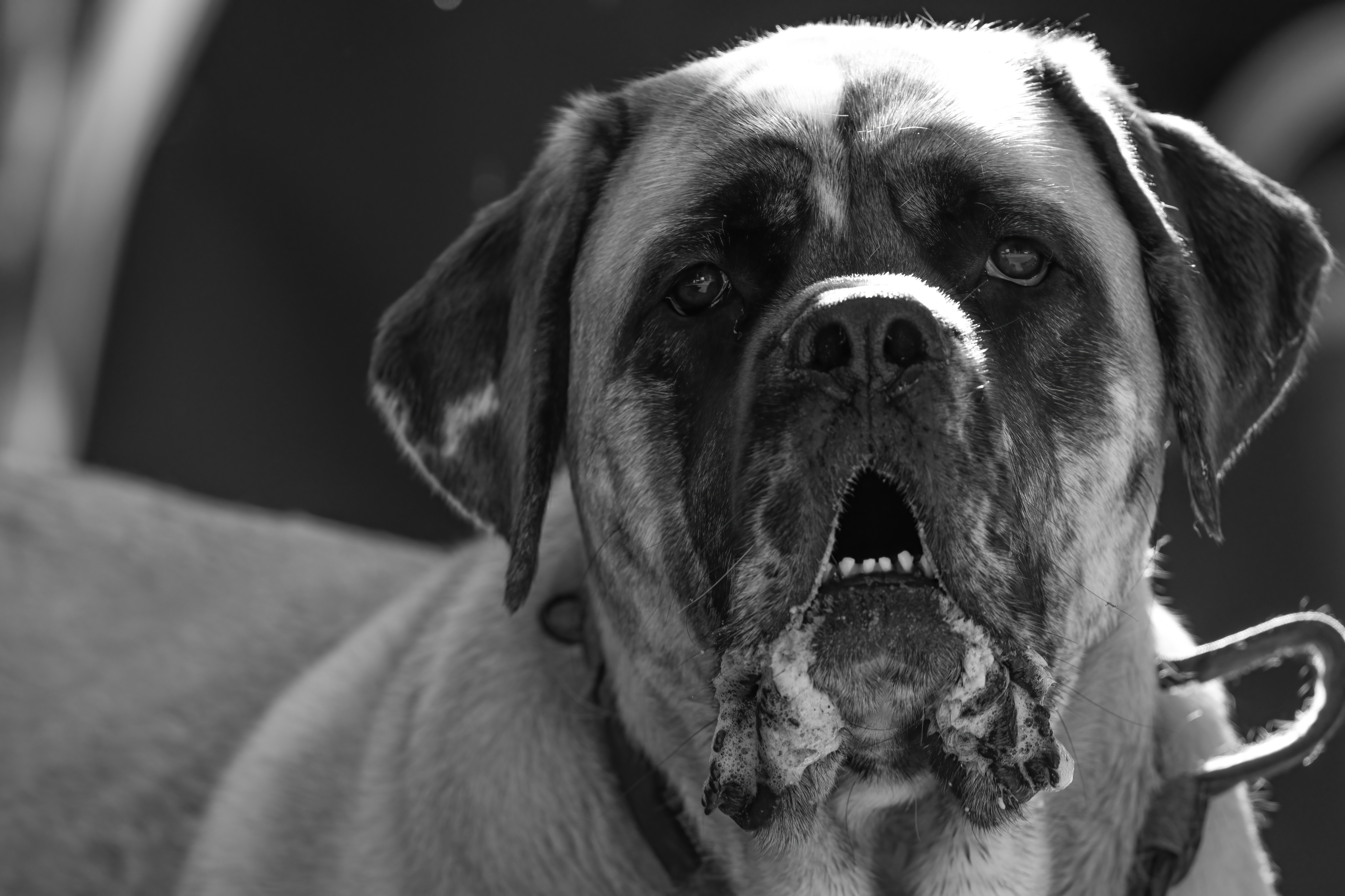 Lifestyle — Heron 021 Fin