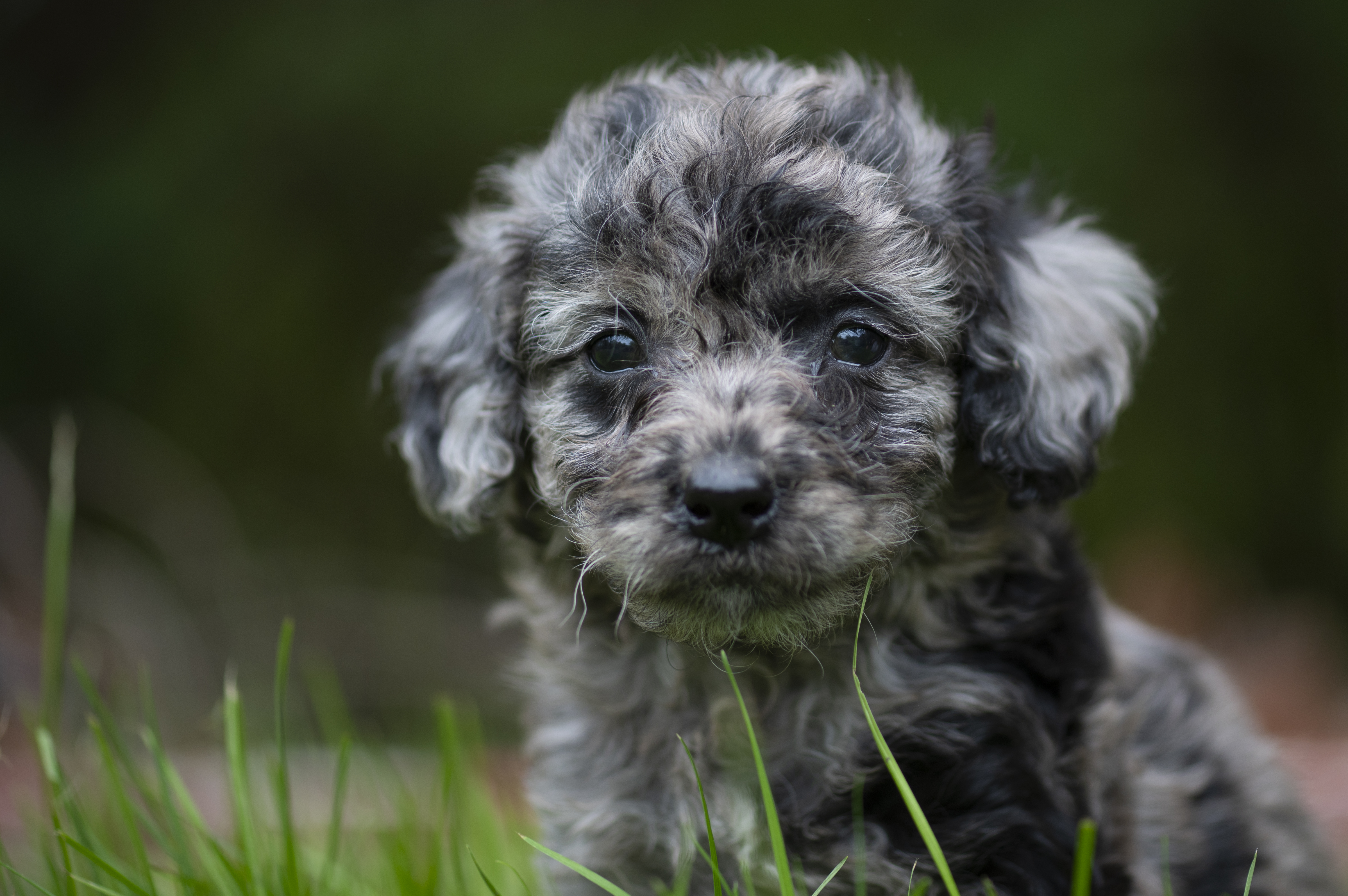 Lifestyle — Charolette Rock042