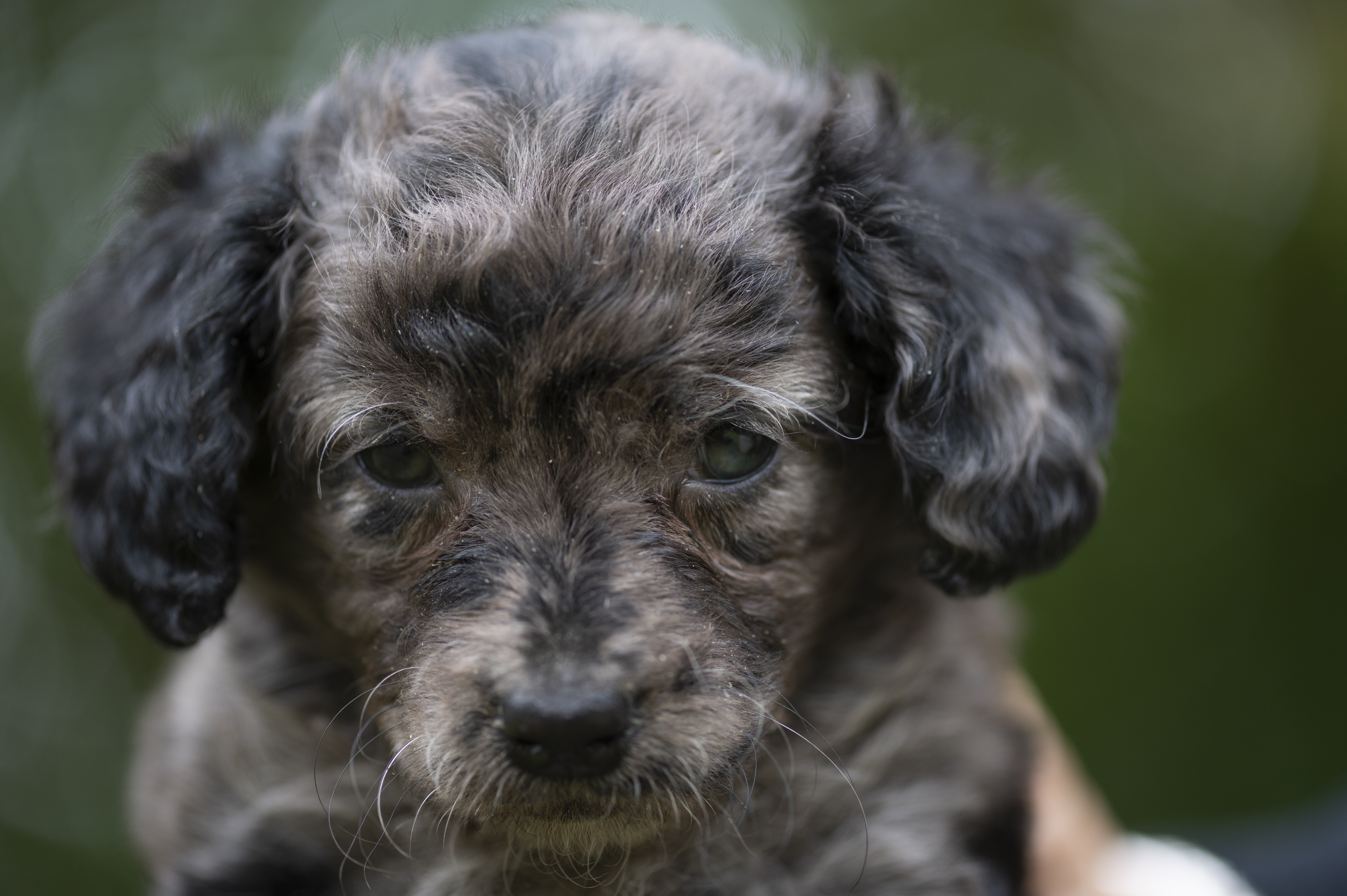 Lifestyle — Charolette Rock088