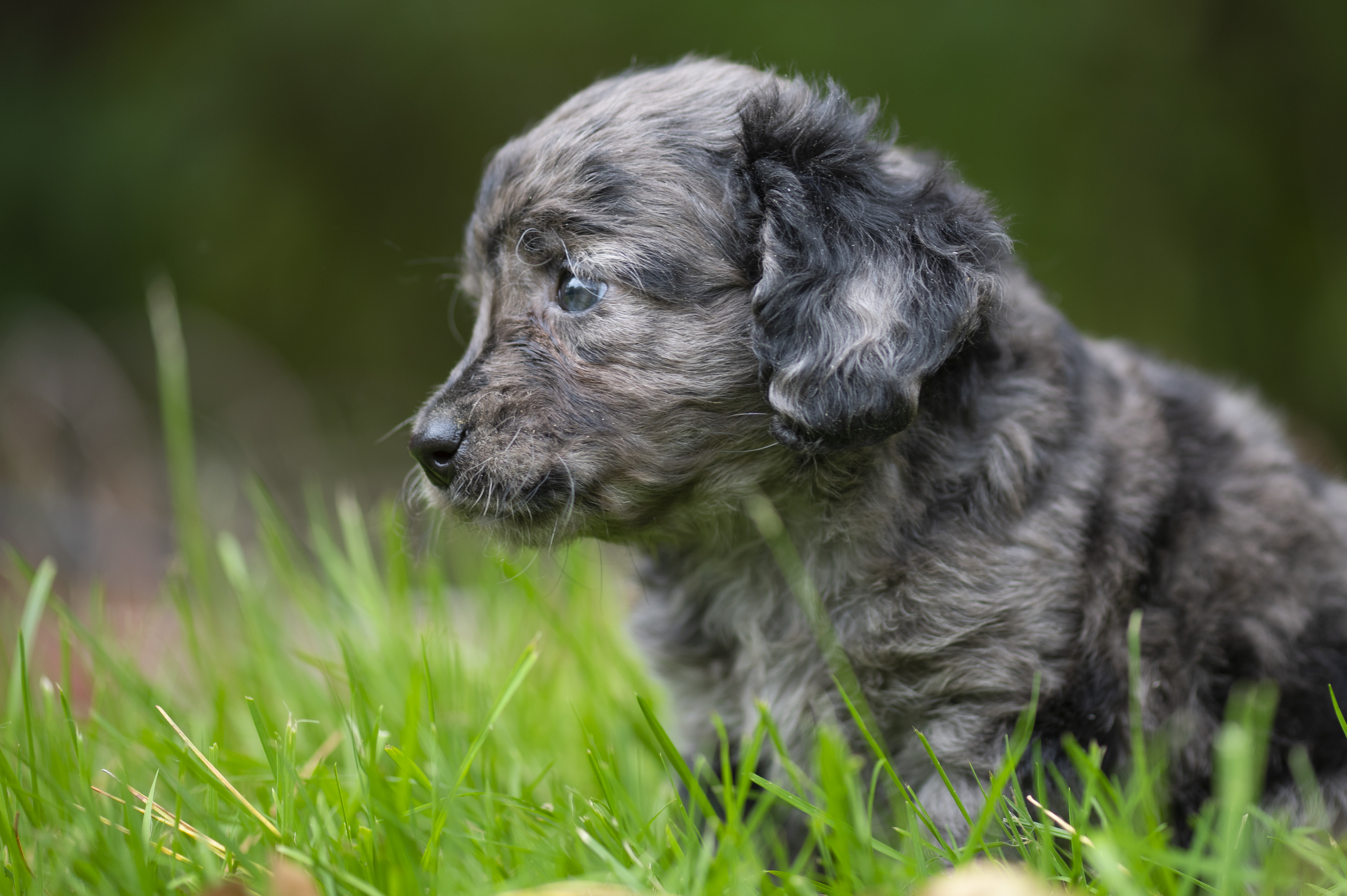 Lifestyle — Charolette Rock098