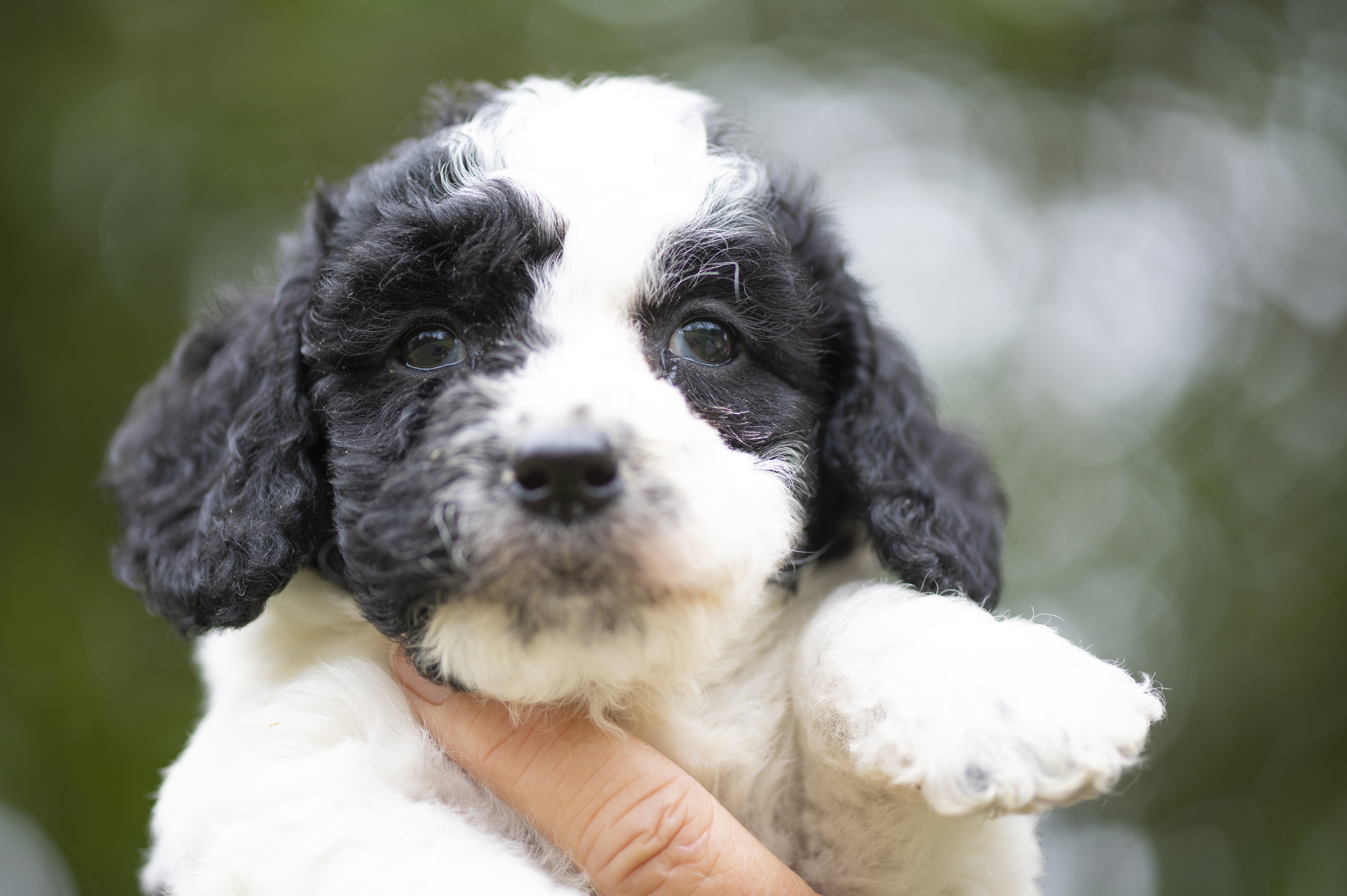 Lifestyle — Charolette Rock113