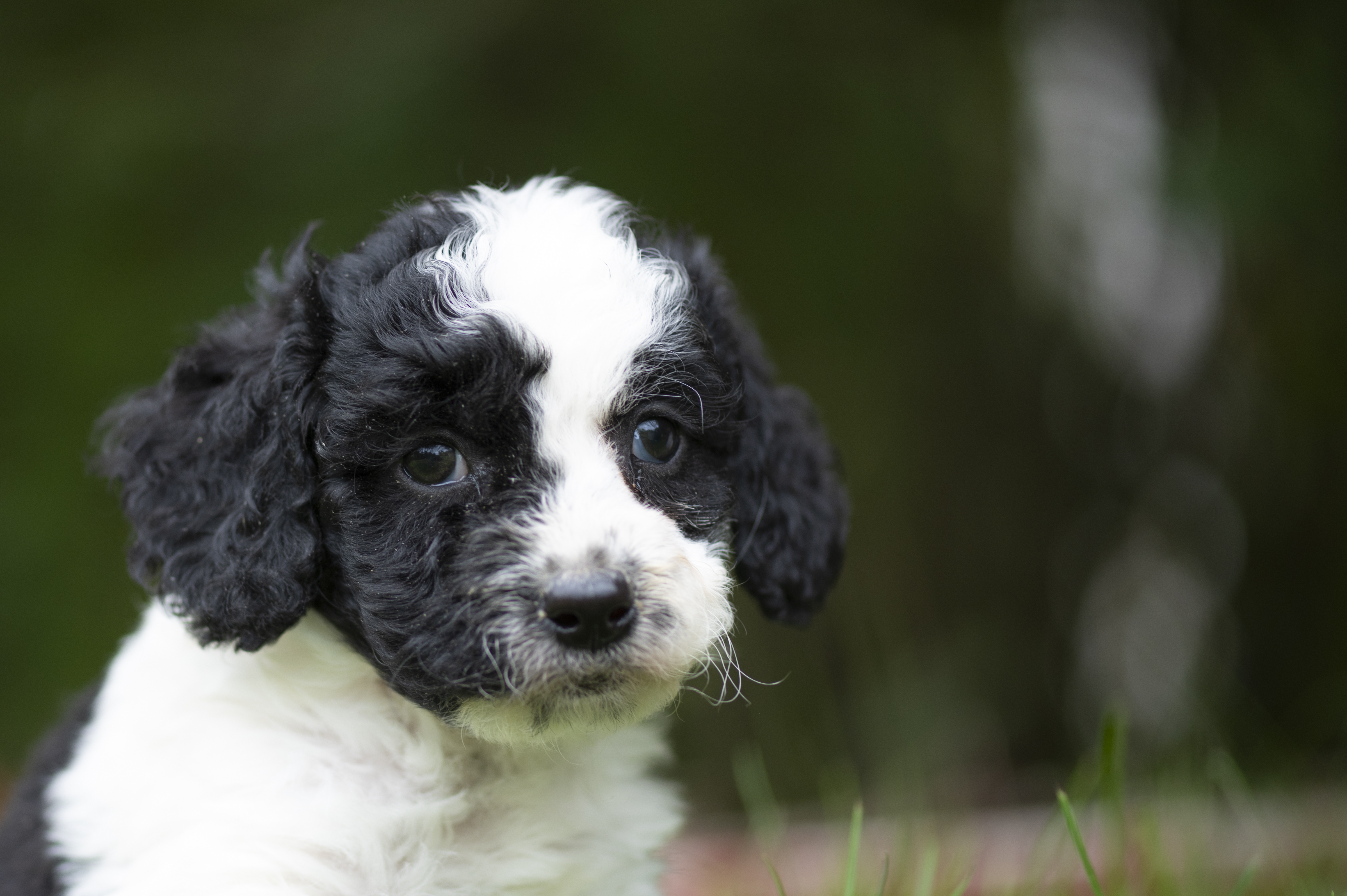 Lifestyle — Charolette Rock131