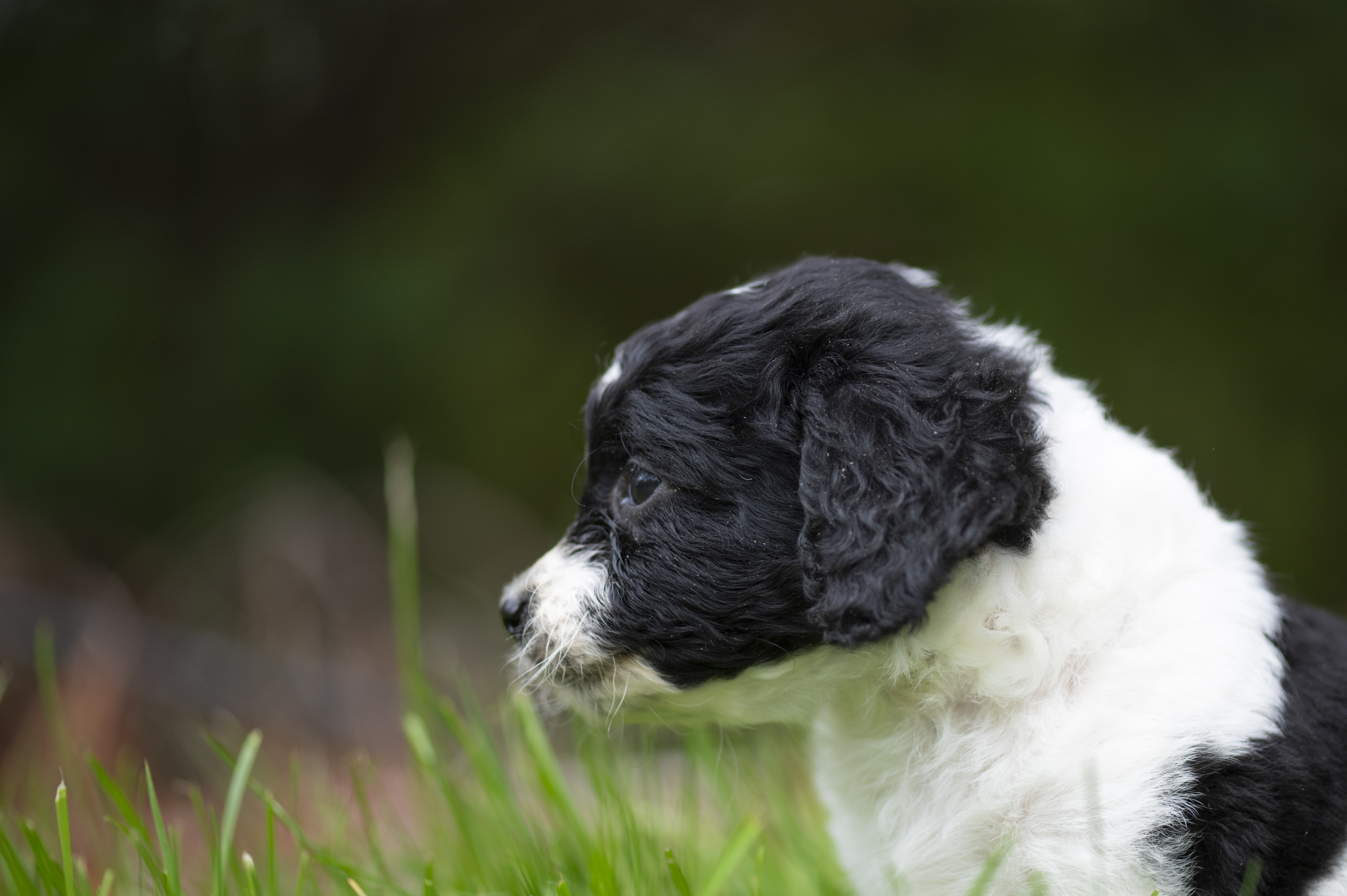 Lifestyle — Charolette Rock142