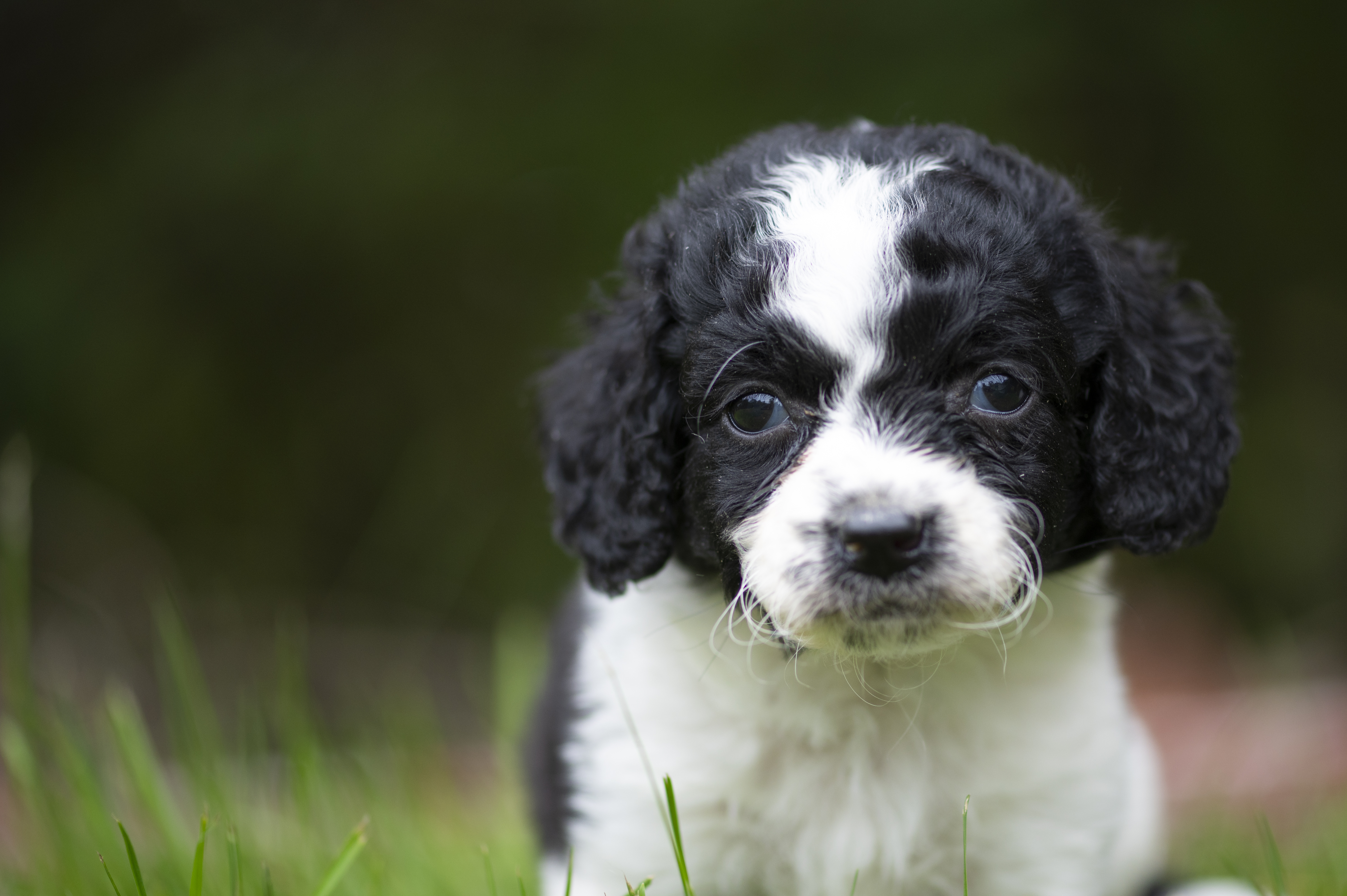 Lifestyle — Charolette Rock153