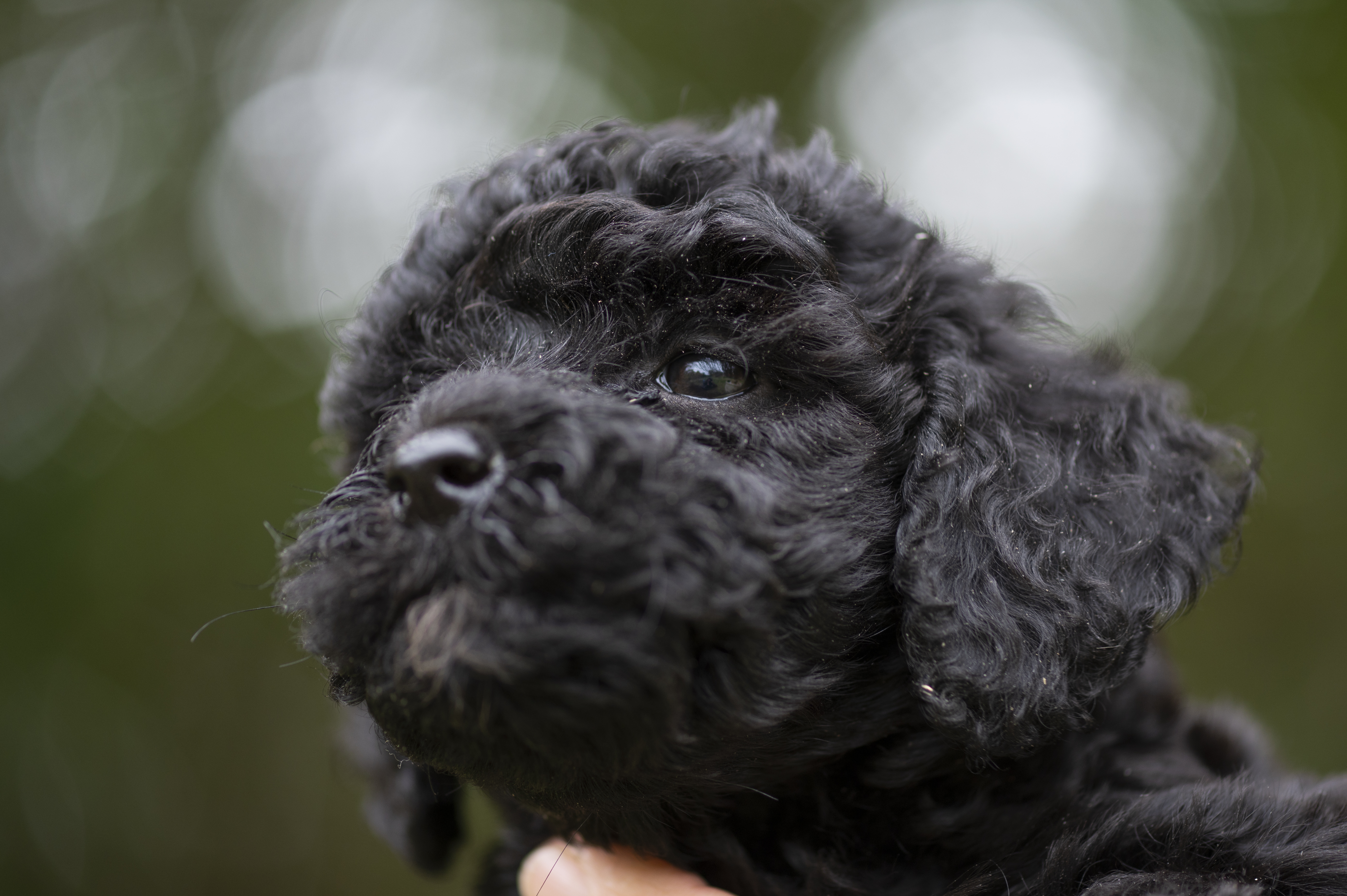 Lifestyle — Charolette Rock165